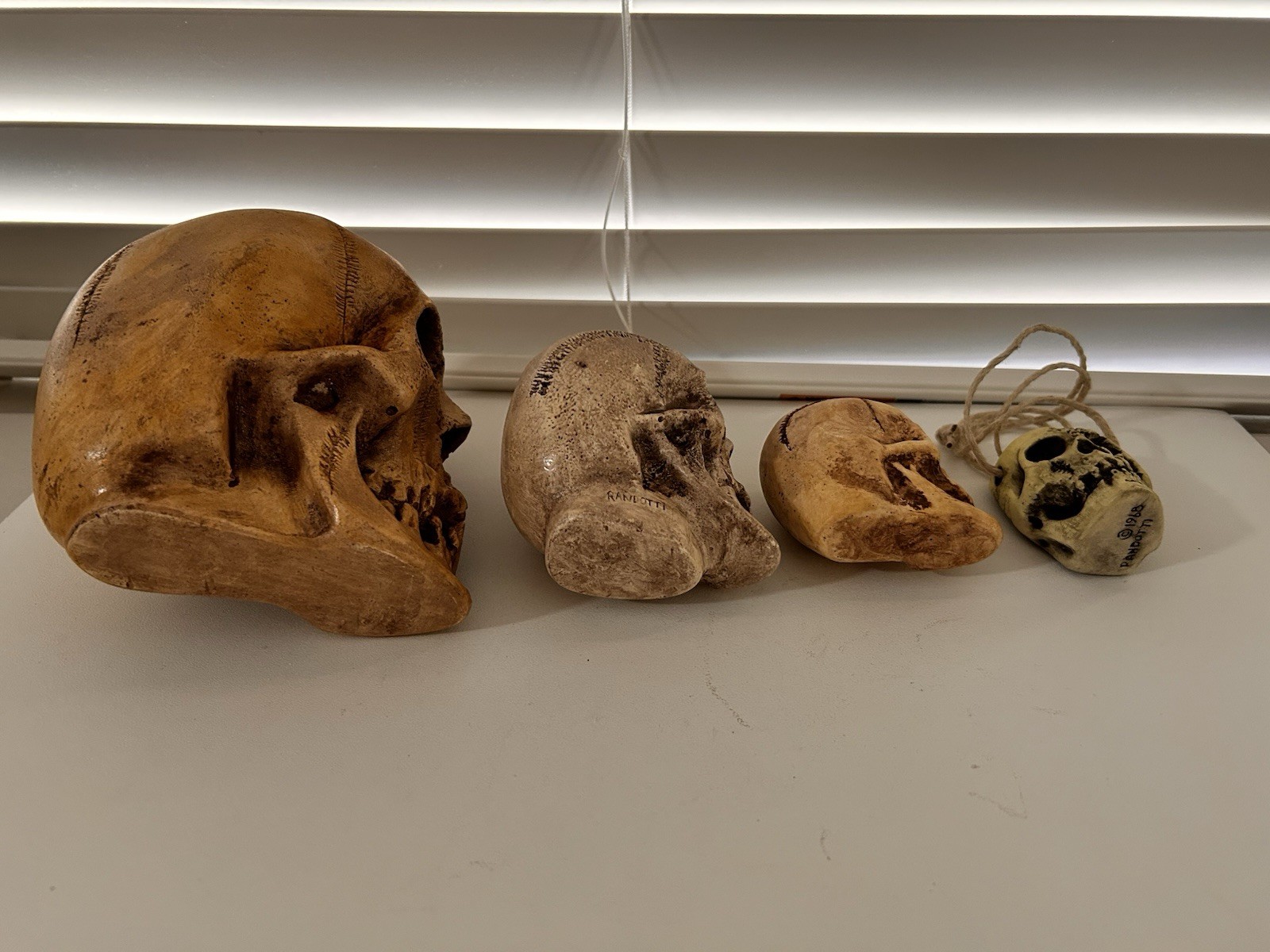 4 EA. RANDOTTI ORIGINALS LARGE, MEDIUM, PIXIE,& FLAT BACK PIXIE SKULLS ALL GLOW