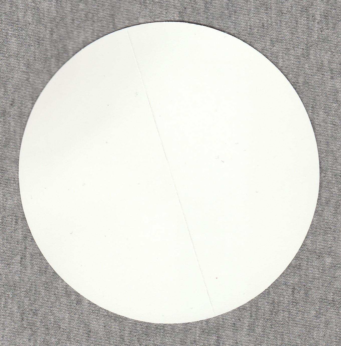 Eddie Vedder Sticker Earthlings 4In Ohana Fest 2020 Dana Point California Surfer