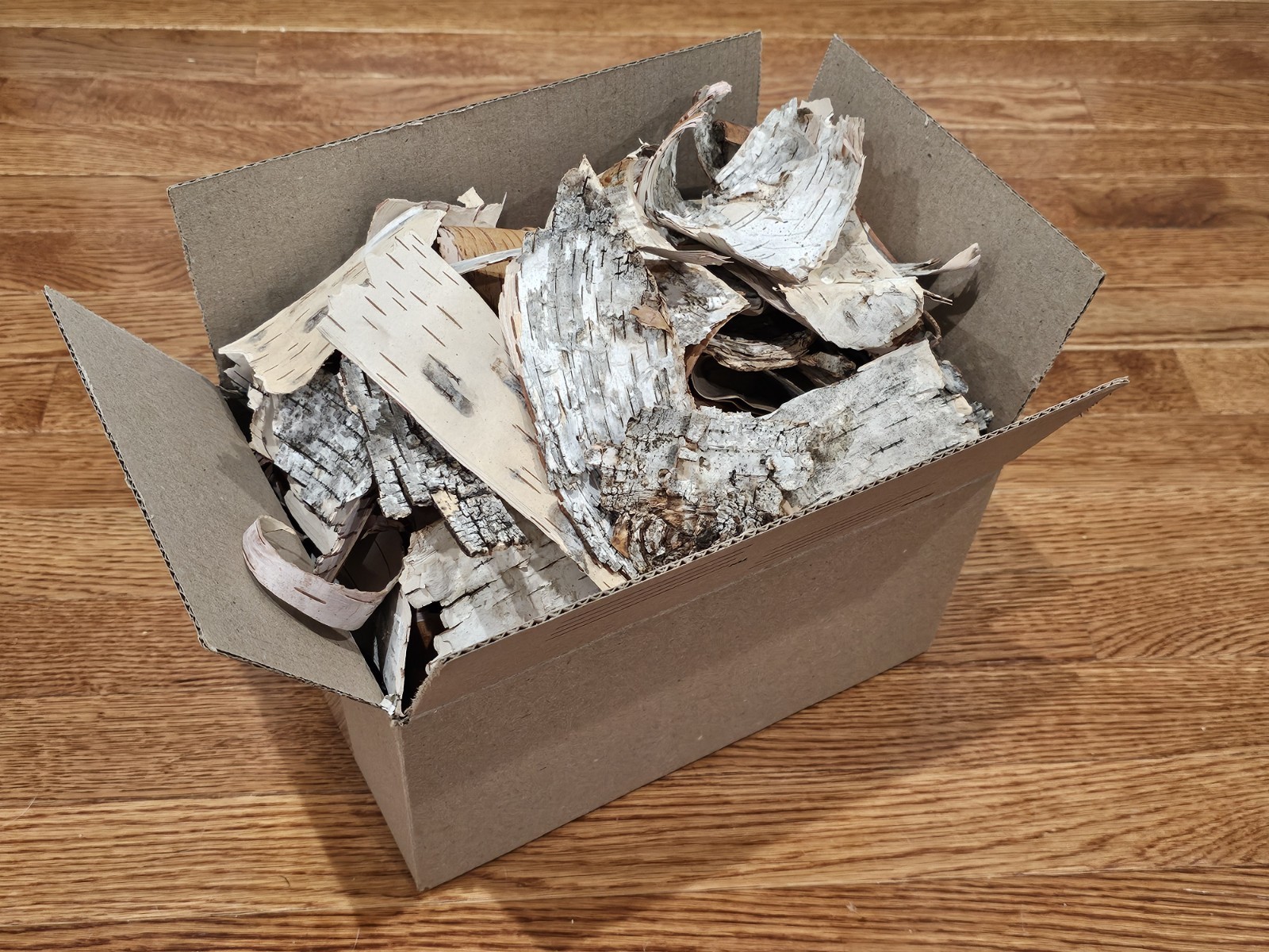 Box of 100+ Birch Bark Pieces
