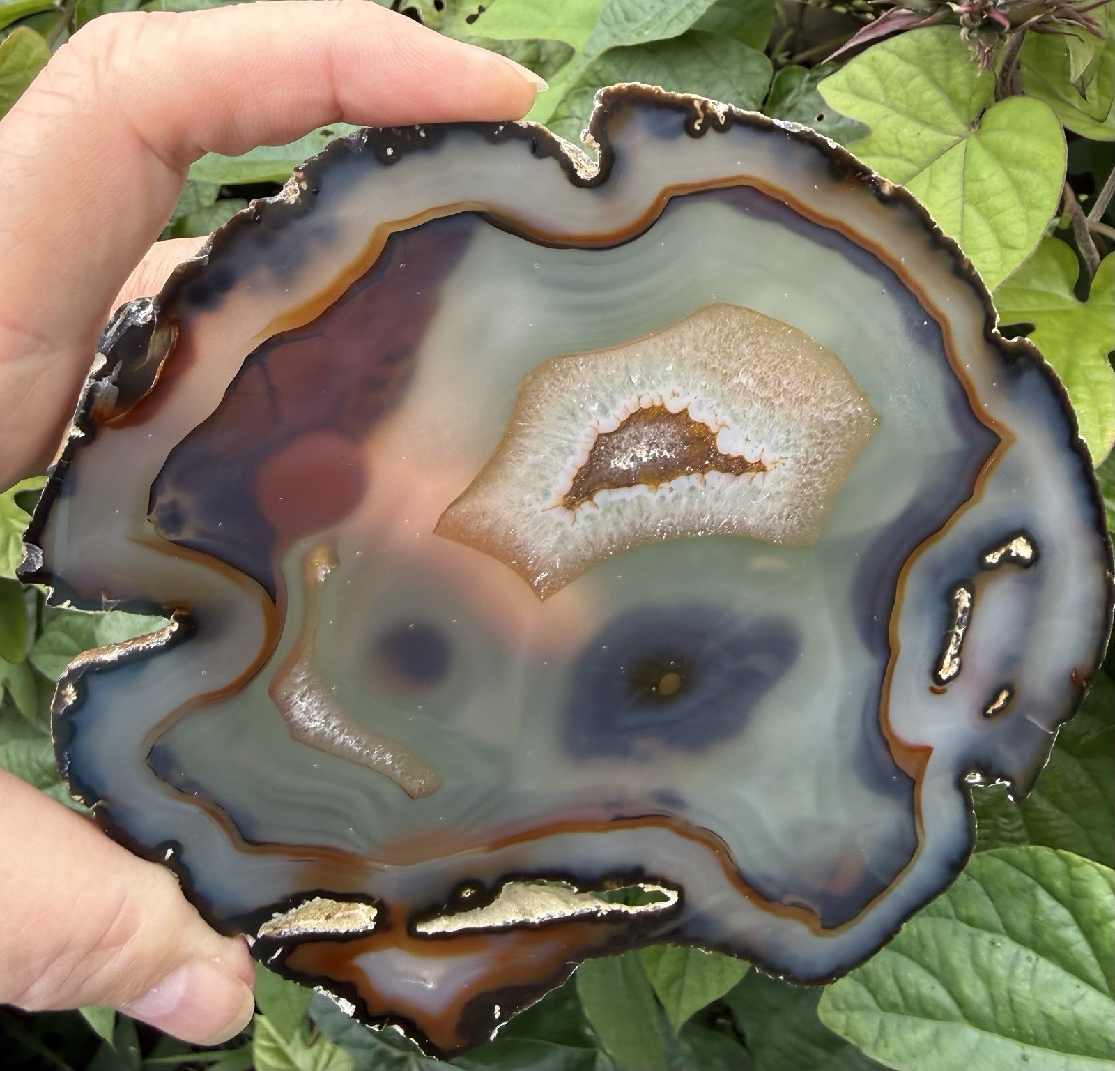 Agate Slab. 6 11/16” x 5 5/8” c 1/4”, 10.3 ounces. Polished front and back.
