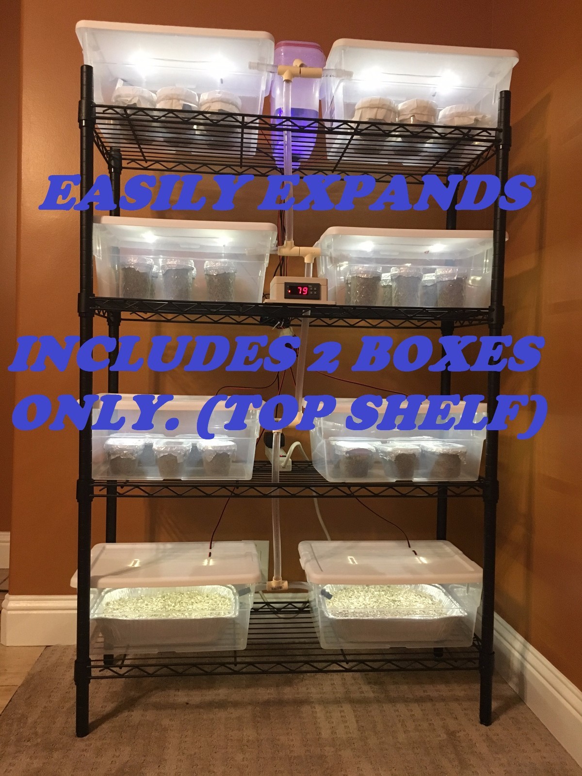 Automated Mushroom Growing Kit with 12 PF Tek Jars Sterile Substrate