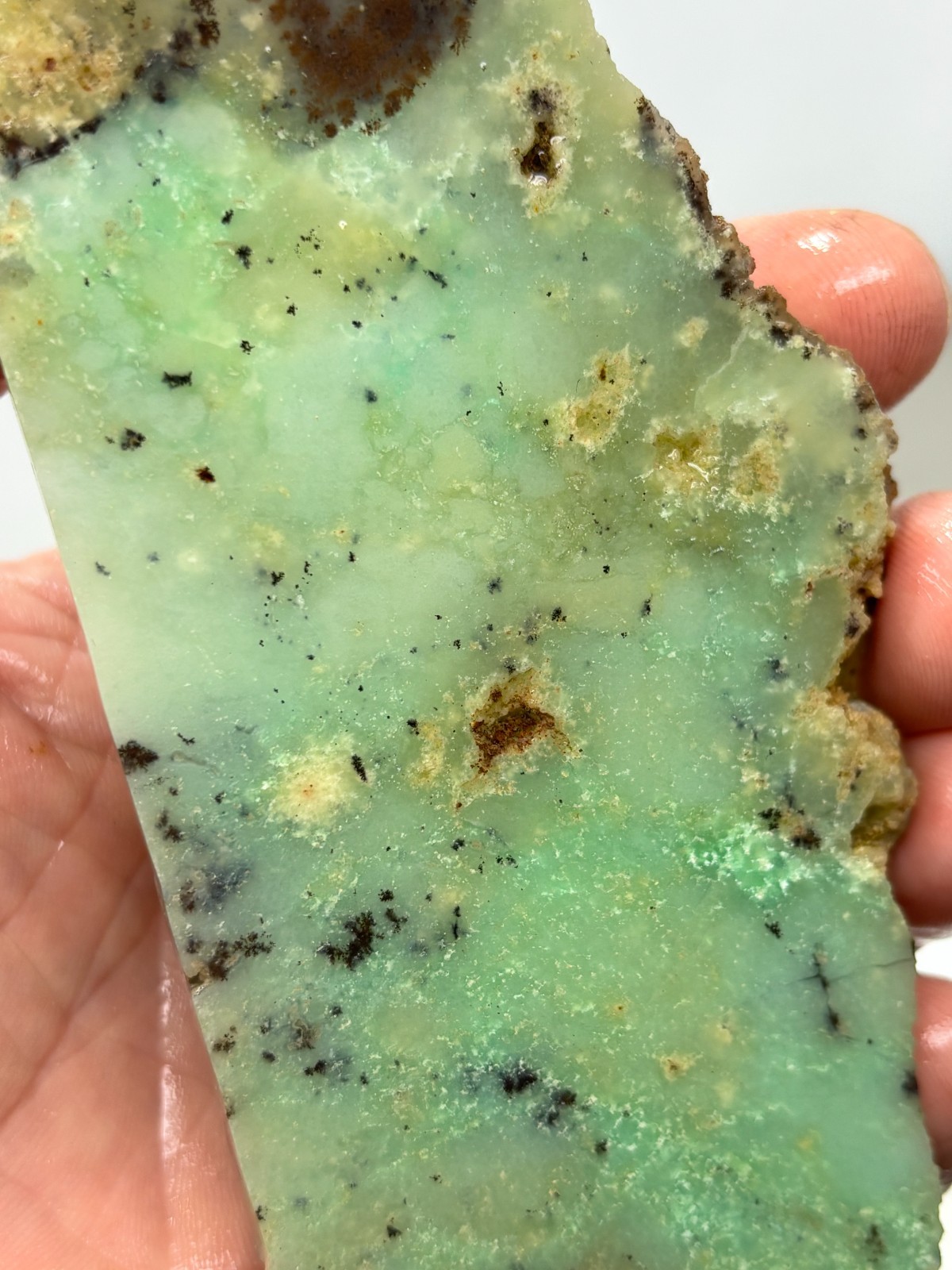 Indo Dendritic Chrysoprase Slab Cabbing Lapidary Collecting Combo Ship Avail