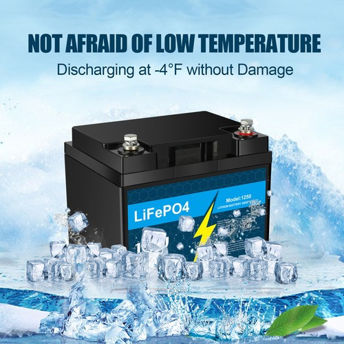 12V 50Ah LiFePO4 Lithium Battery with Charger, Smart BMS, for RV, Marine Lot