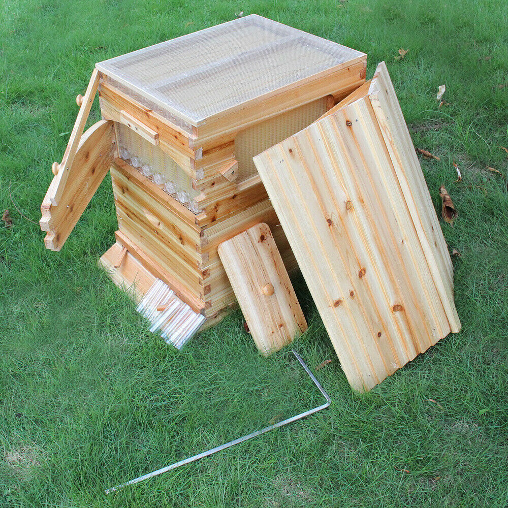 Wooden Beekeeping Beehive House +7pcs Latest Auto Honey Bee Hive Comb Frames US