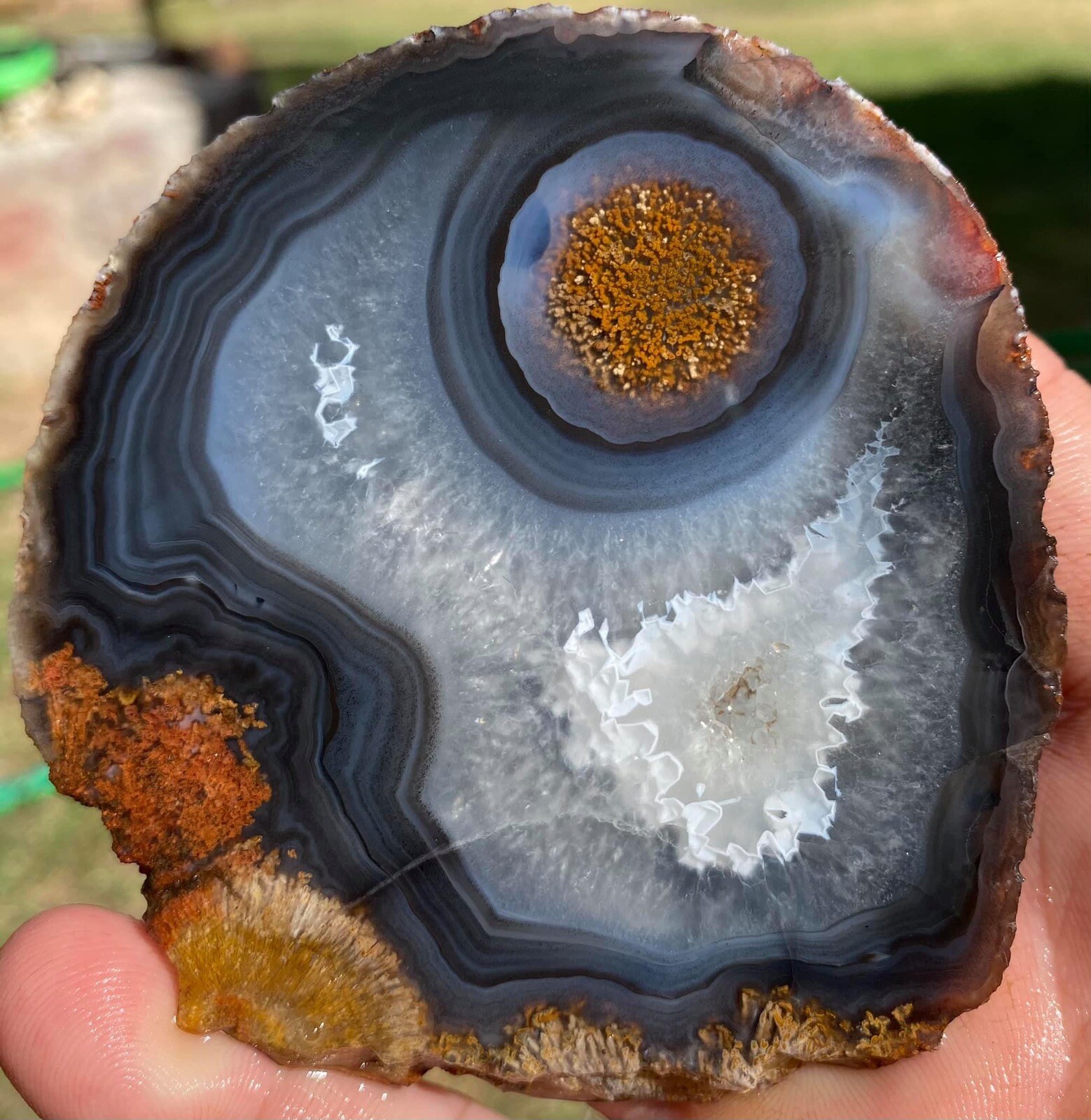 Colorful Agates From o6 Kokernot West Texas Ranch: Agate Rough Lapidary Rock