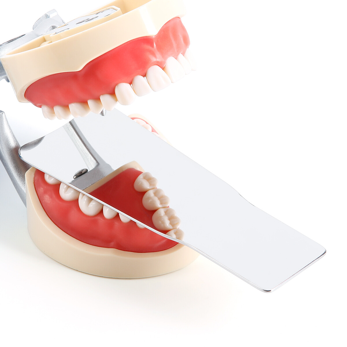 Dental Occlusal Mirror Fog Free Reflector LED Intraoral Photo 4*Mirrors Anti-Fog