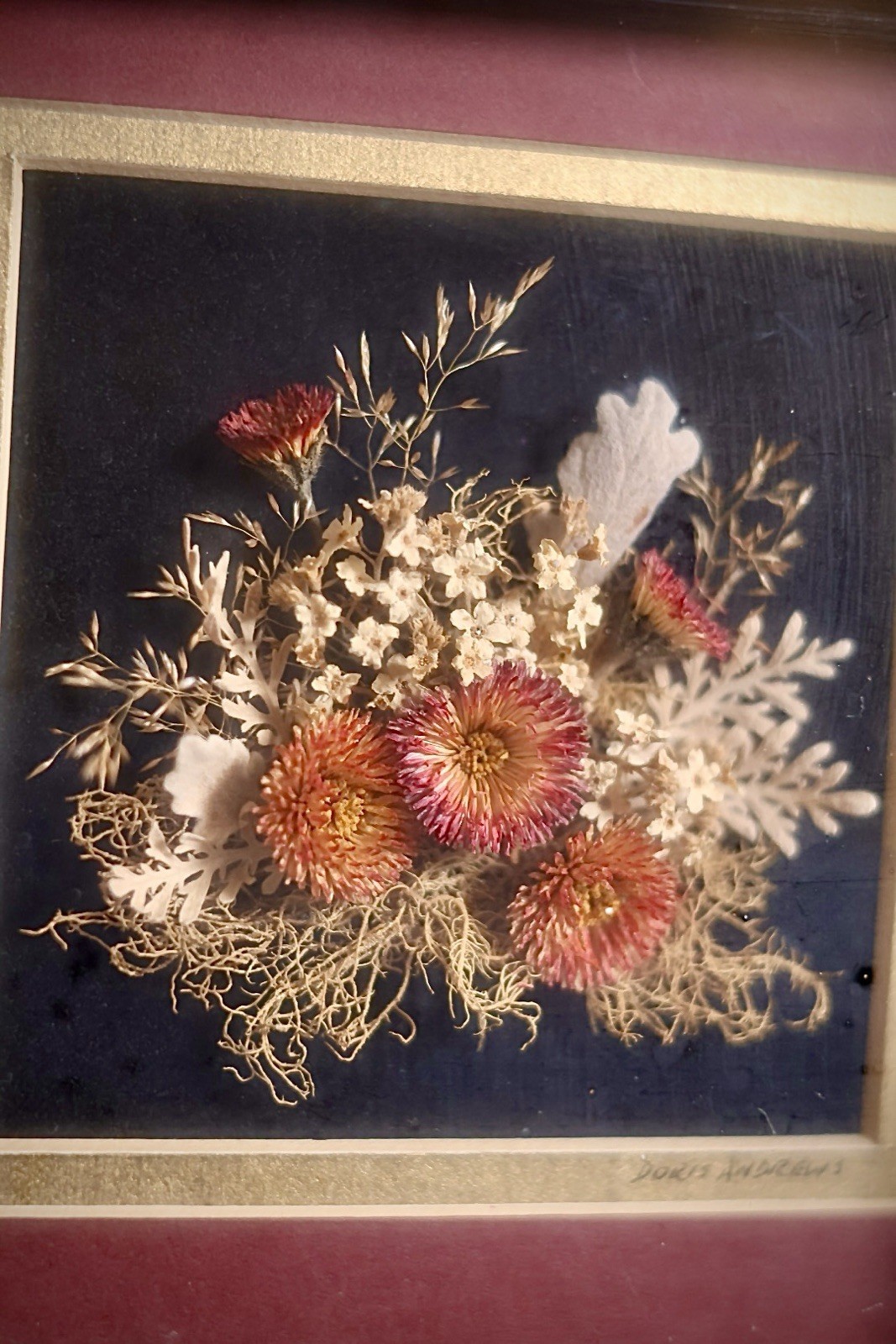 Vintage Pressed Flower Art Lot of 4 Framed Botanical Originals Doris Andrews