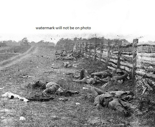 Dead Confederate Soldiers Battle of Antietam 8"x 10" Civil War Photo Picture 107