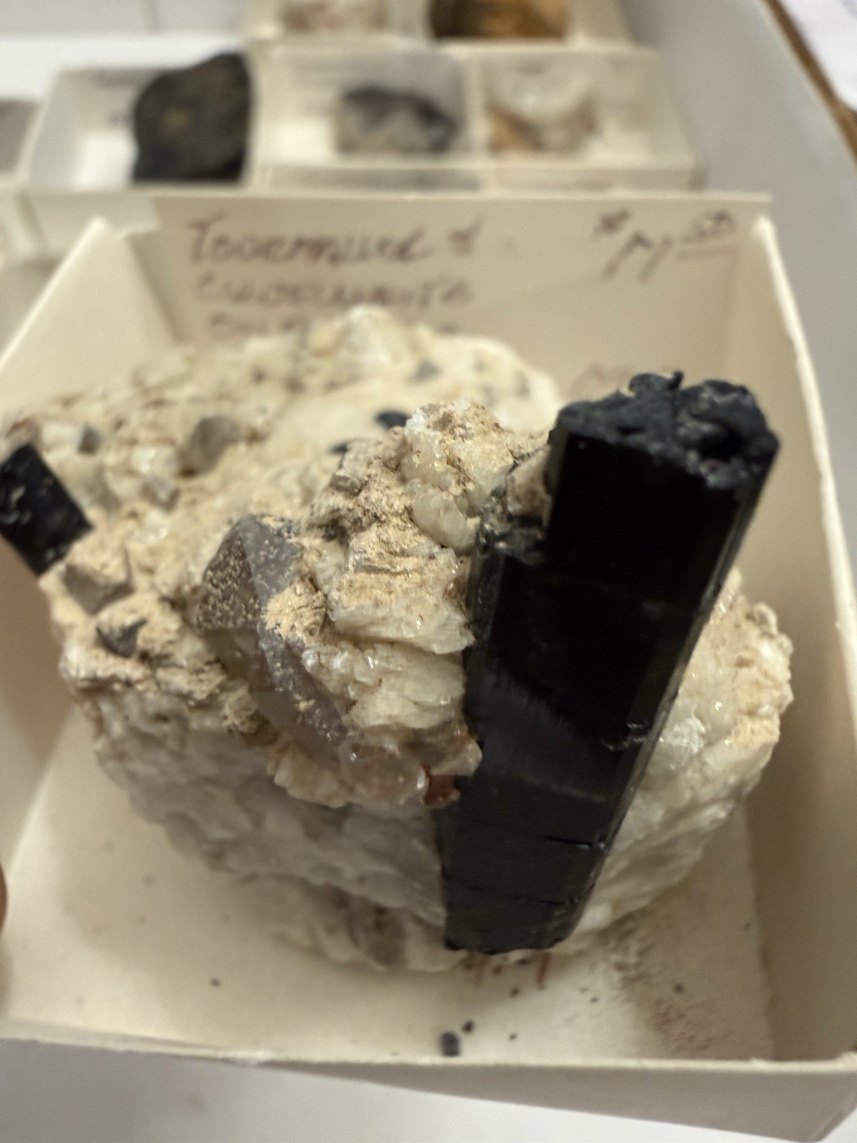 over 20 tourmaline specimens pala chief mine ca little three