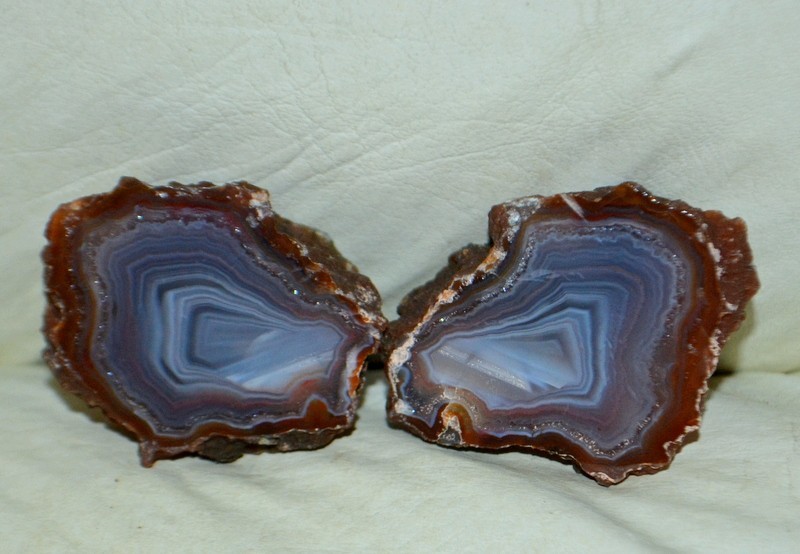 10 pcs Lot Pair Condor Agates from Argentina Wholesale Bulk *