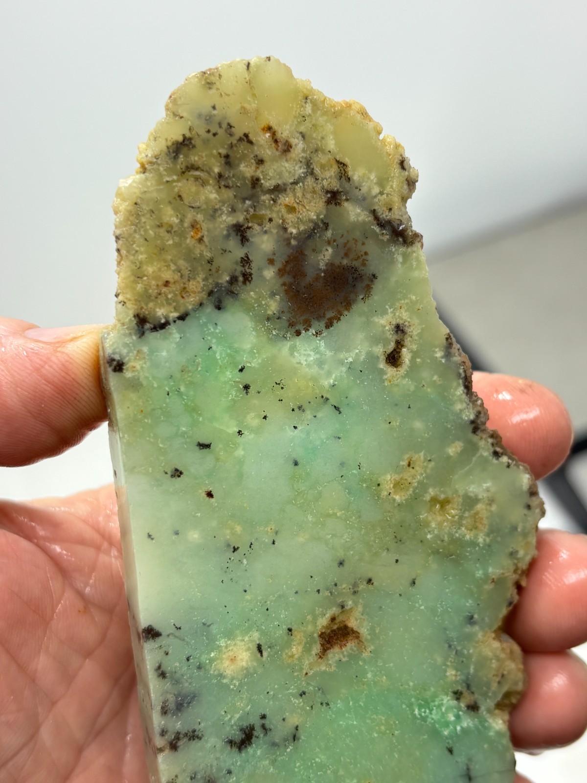 Indo Dendritic Chrysoprase Slab Cabbing Lapidary Collecting Combo Ship Avail
