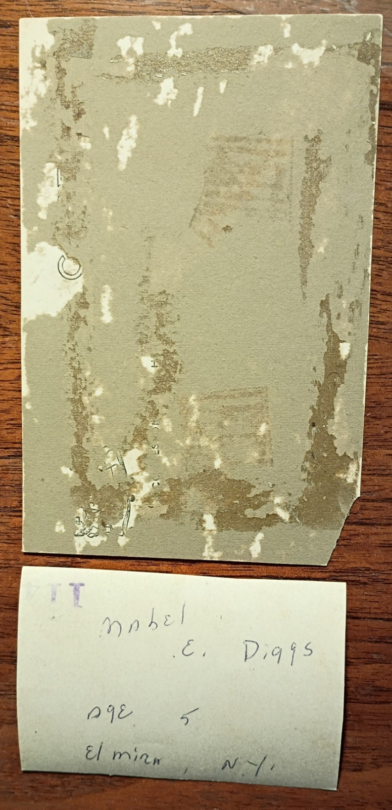 Singer/Civil Rights Activist Mabel Diggs C. 1920 Stage Bodice, Photos & Programs