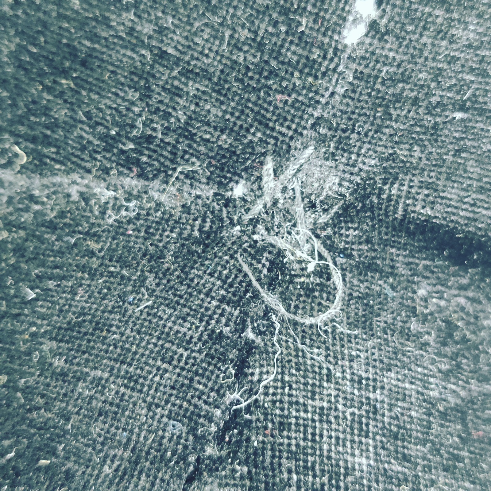 Fiesta Skelanimals Dax Dog Gothic Skeleton Stuffed Plush 18" large