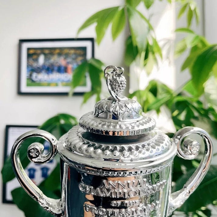 PGA Golf Championship Trophy Resin Replica Trophy 20CM Height