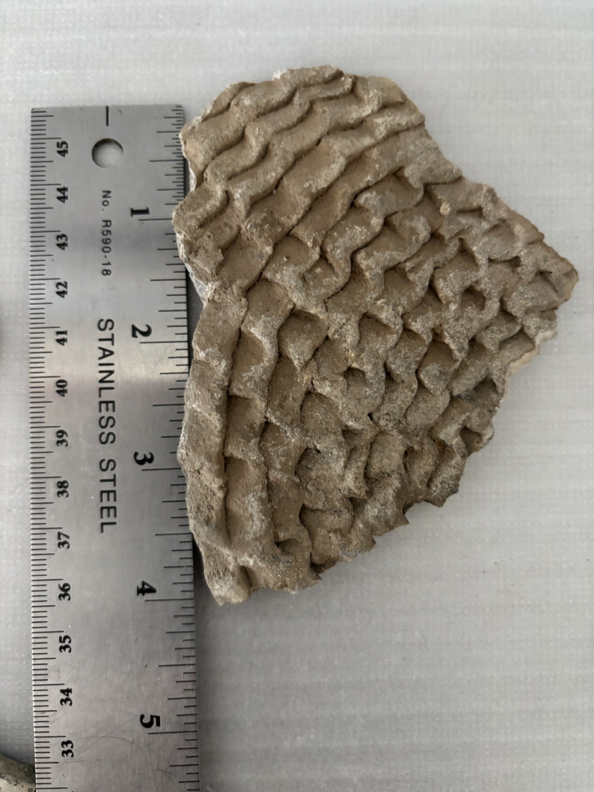 3 Large Ancient Anasazi Native American Pottery Shards 3” - 4” Arizona L7-B