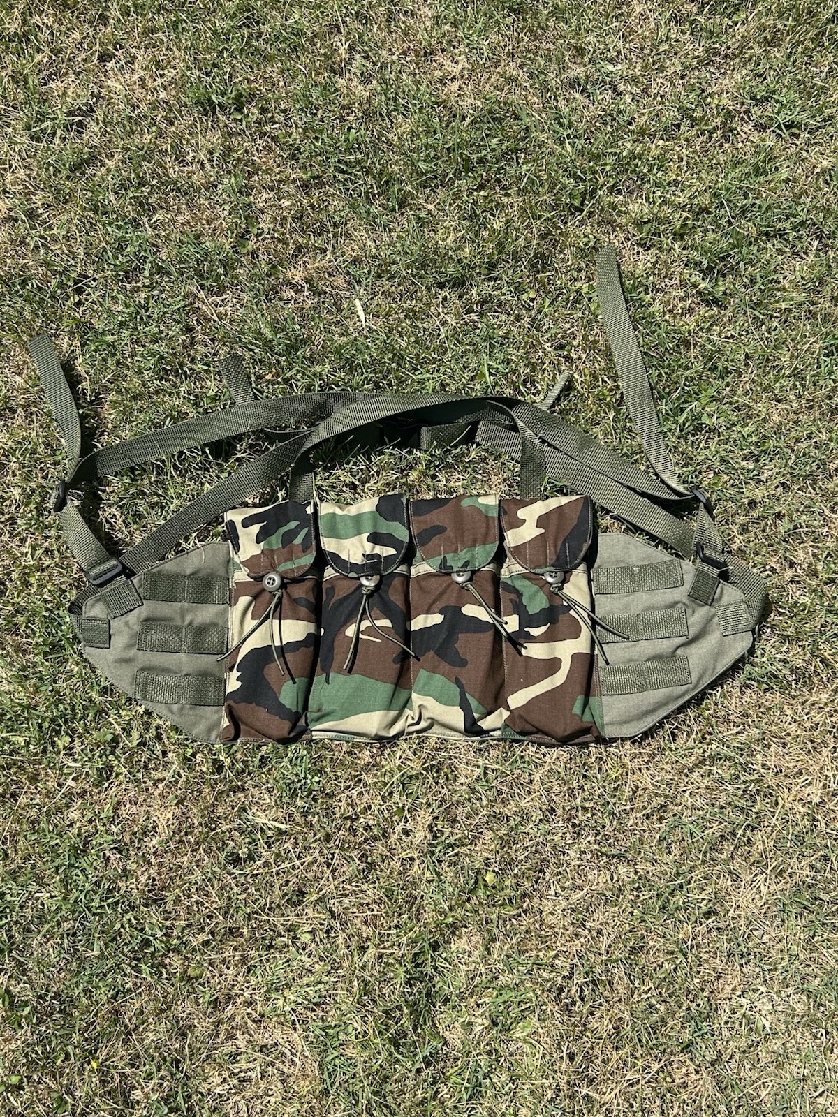 M81 Woodland Modernized Chicom Chestrig