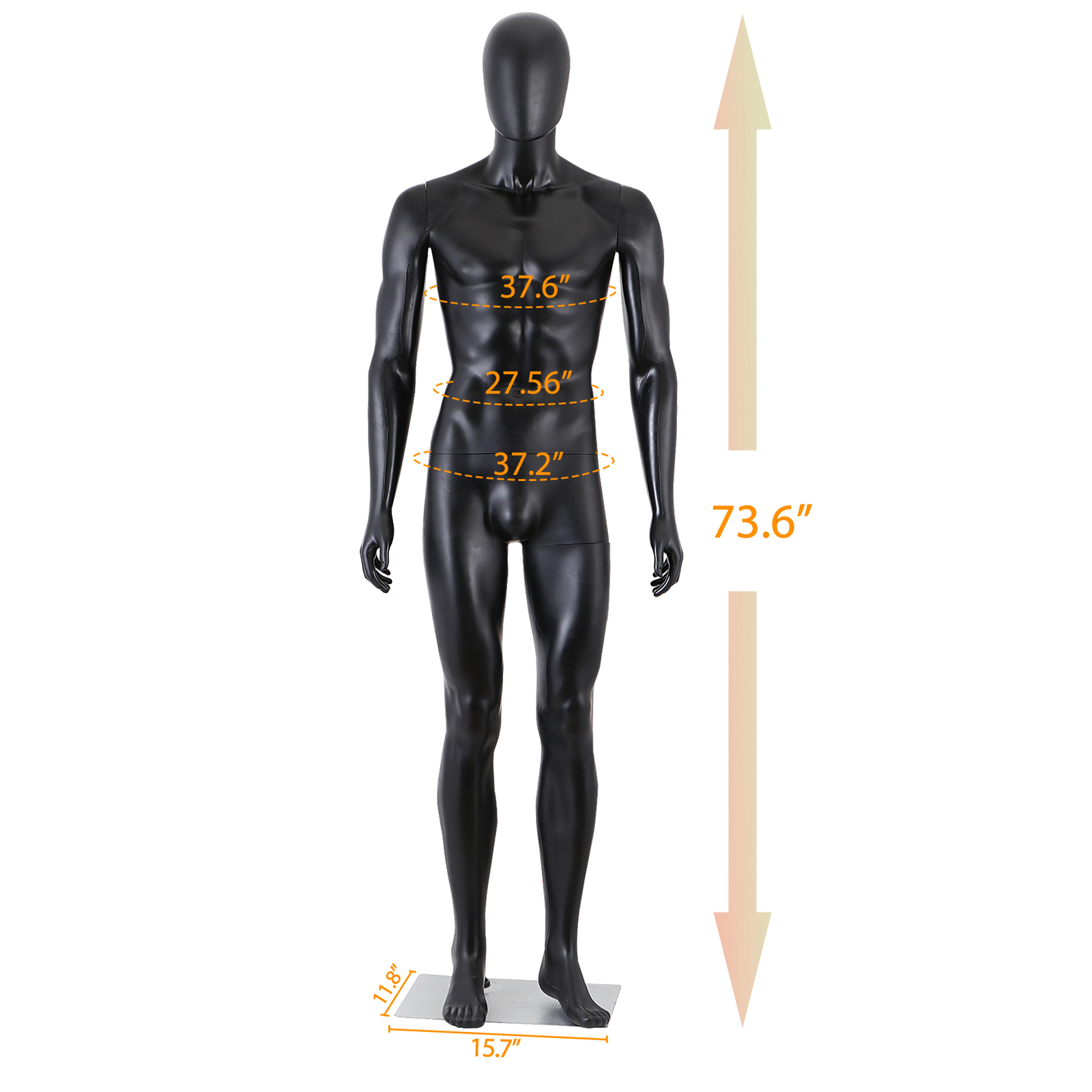 73"H Male Mannequin Full Body Realistic Display Head Turns Dress Form Base Black