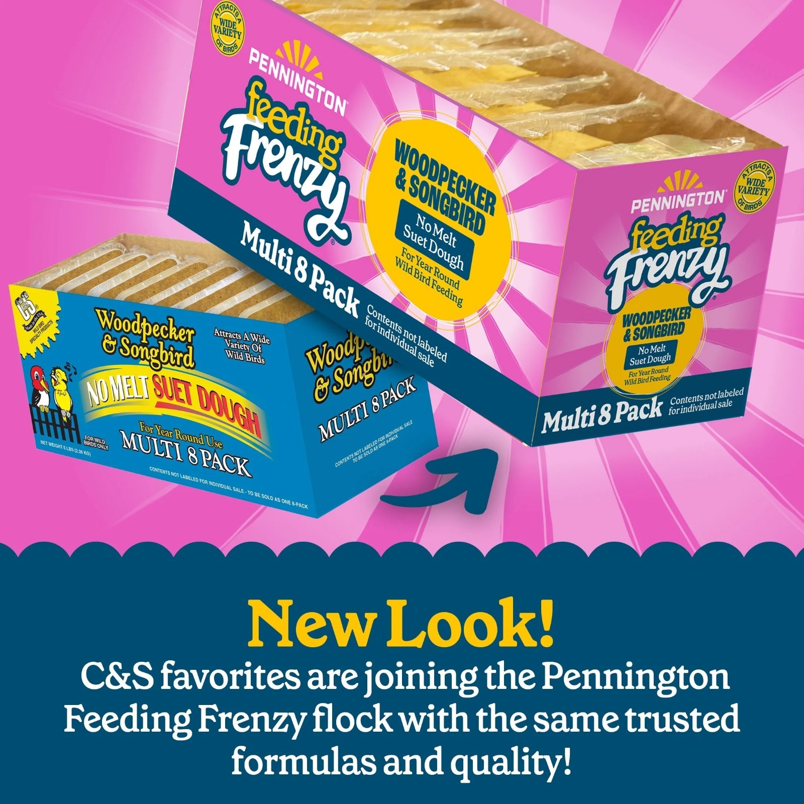 Pennington Feeding Frenzy No-Melt Suet Dough Woodpecker & Songbird Suet Cakes fo