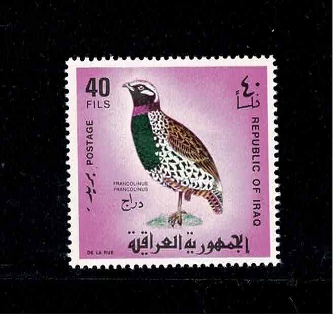 IRAQI BIRDS(1968).FIRST DAY ISSUE ENVELOPE+FULL SET CONSIST FROM 7 STAMPS .