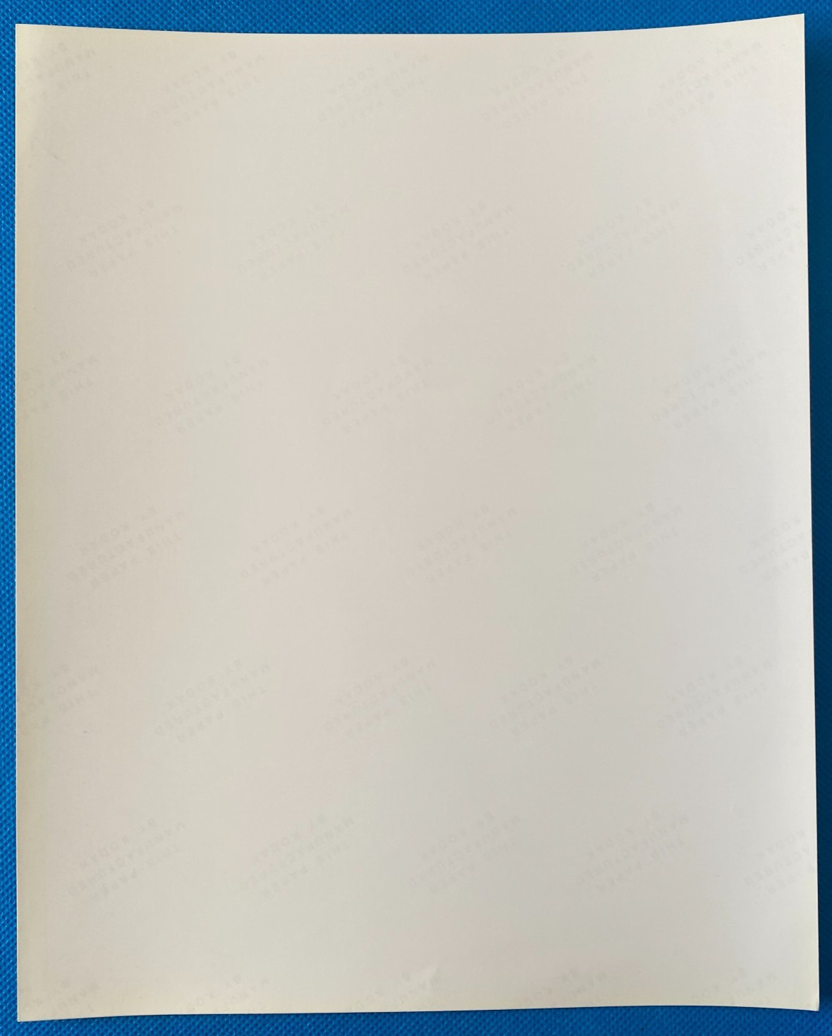 Adioa - 1989 UK Island Records Promo Press Black & White Real Photograph 10"x 8"