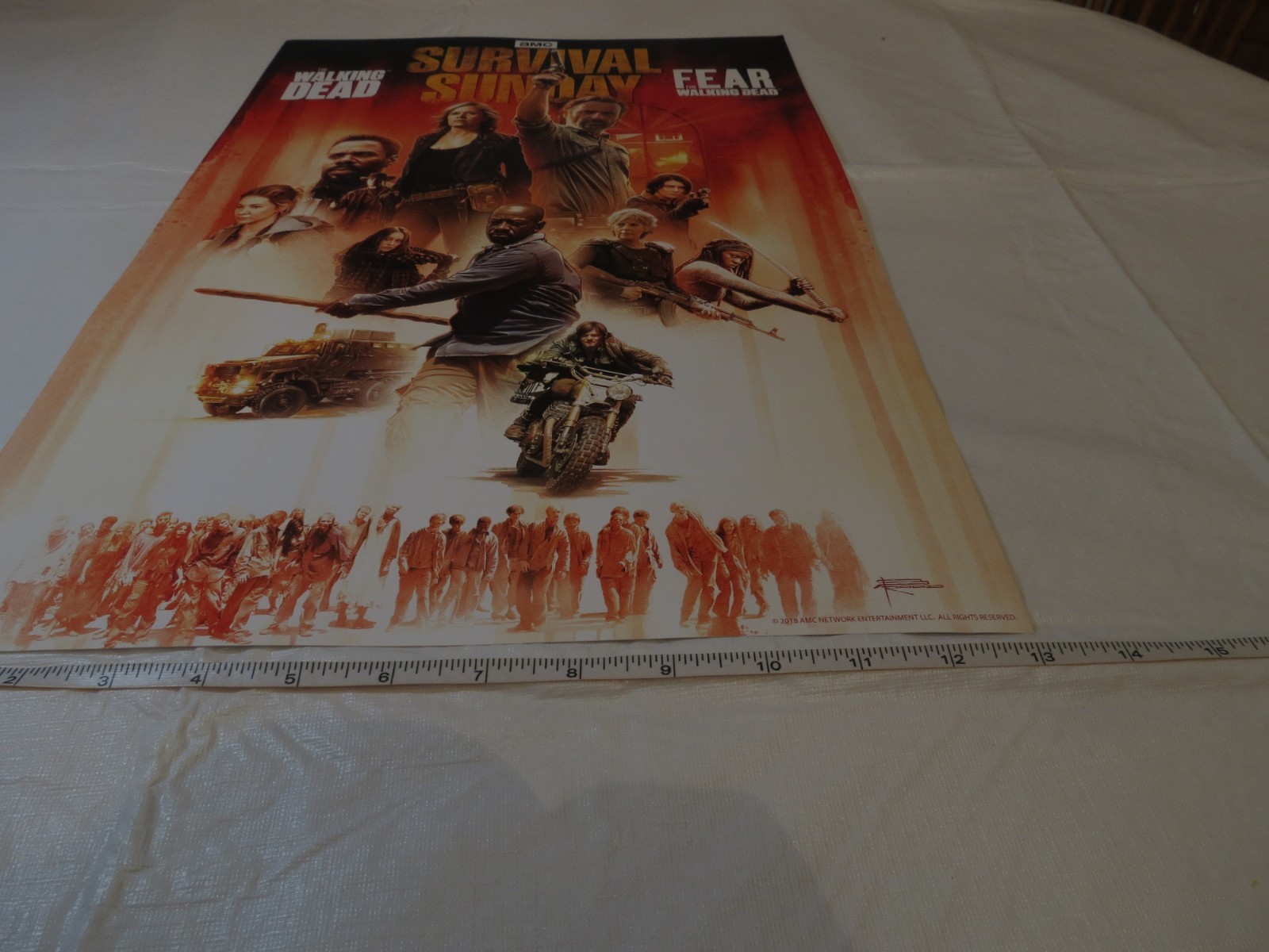 Walking Dead Fear the Walking DEAD AMC poster for Movie RARE WD FTWD MINI 2018