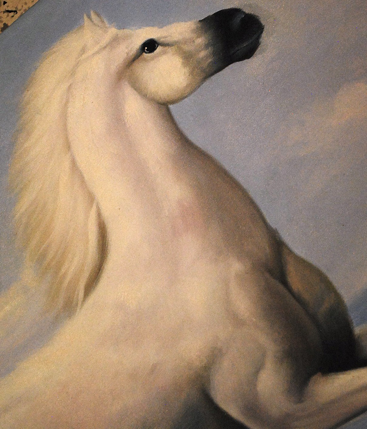 HORSE RUNNING ALONG OCEAN Original Art ACRYLIC PAINTING/CANVAS Signed 36" x 24"