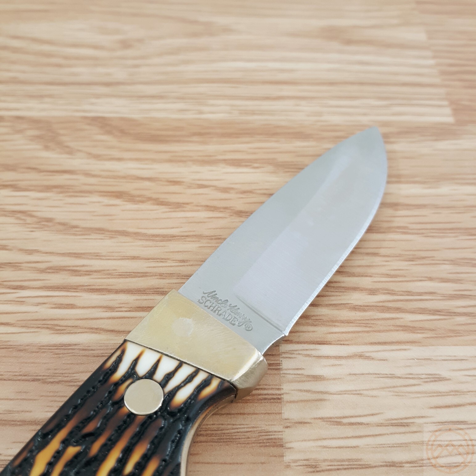 Schrade Hunter Fixed Knife 2.75" 7Cr17MoV Steel Full Tang Blade Staglon Handle