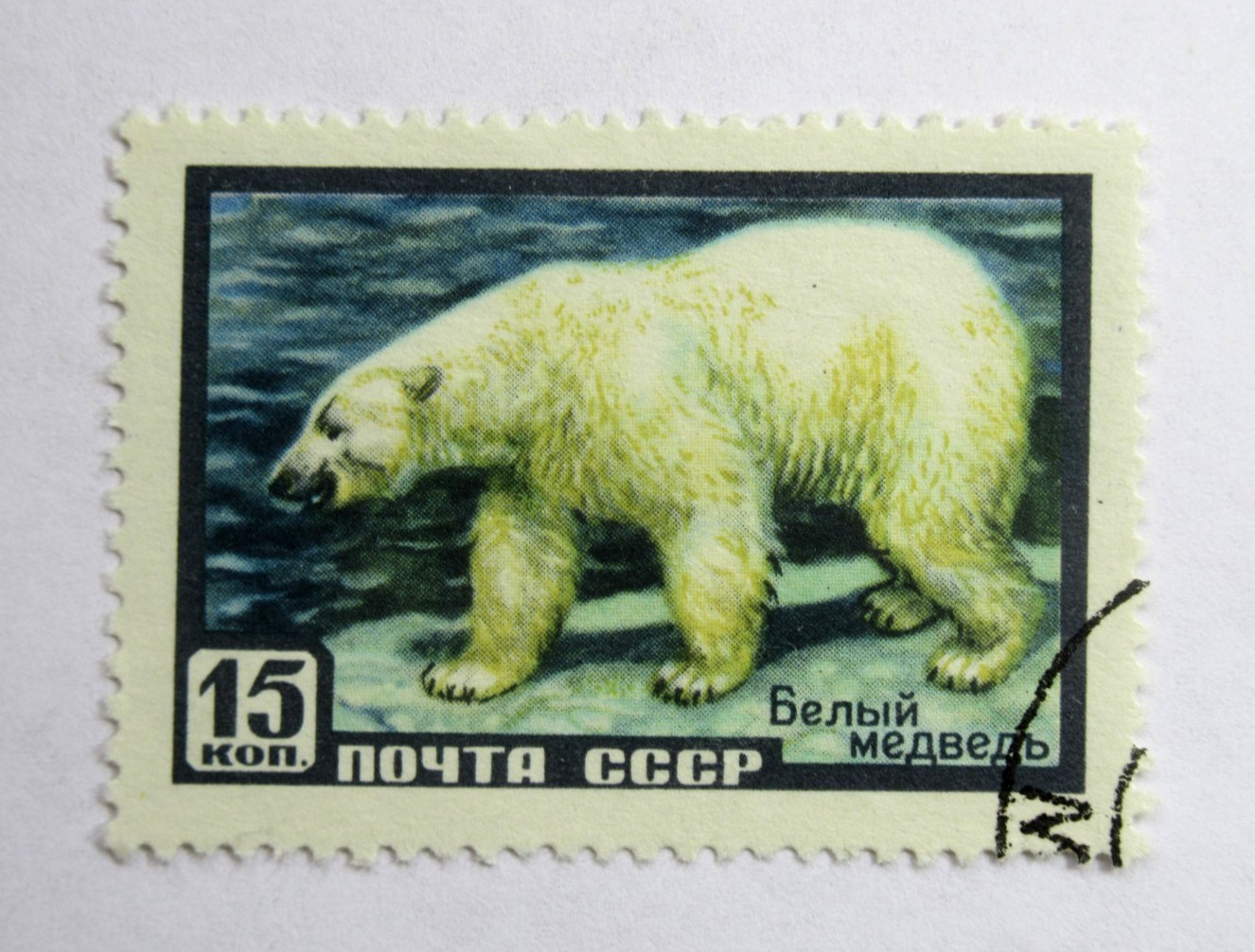 Russia Stamp Scott 1937 Wildlife Series Polar Bear 15 Kopeks 1957 Used NG