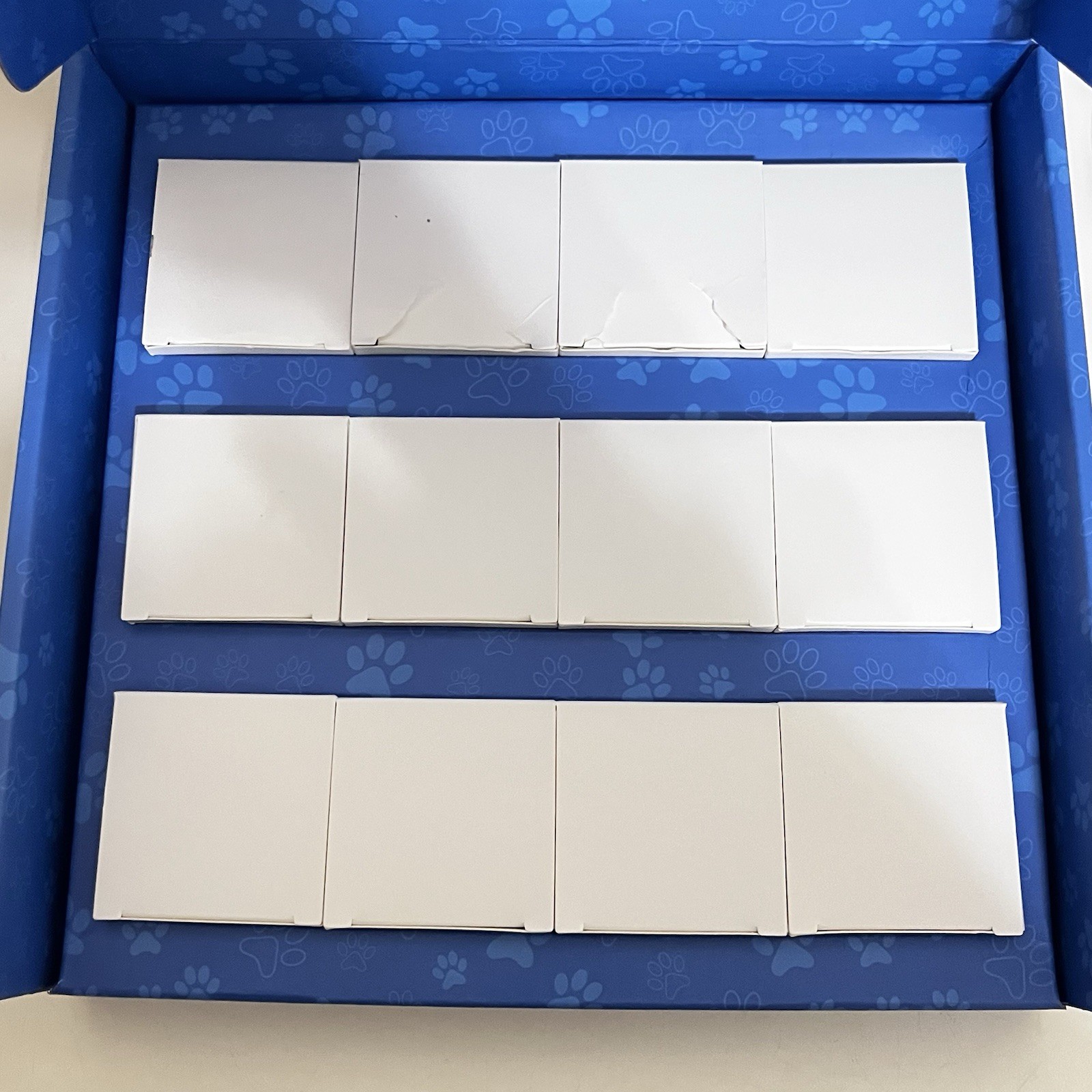 Pawkie Talkie Dog Talking Buttons Echo System Set 12 Buttons + 2 Mats