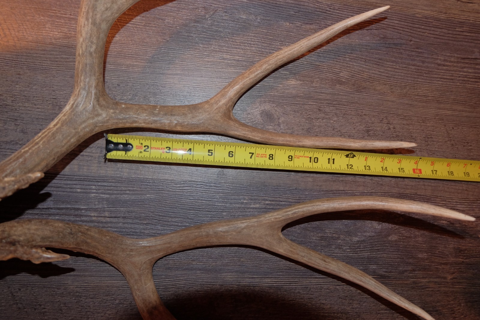 Nice Set Mule Deer Antlers Sheds Taxidermy Mount Cabin Decor Buck Horns