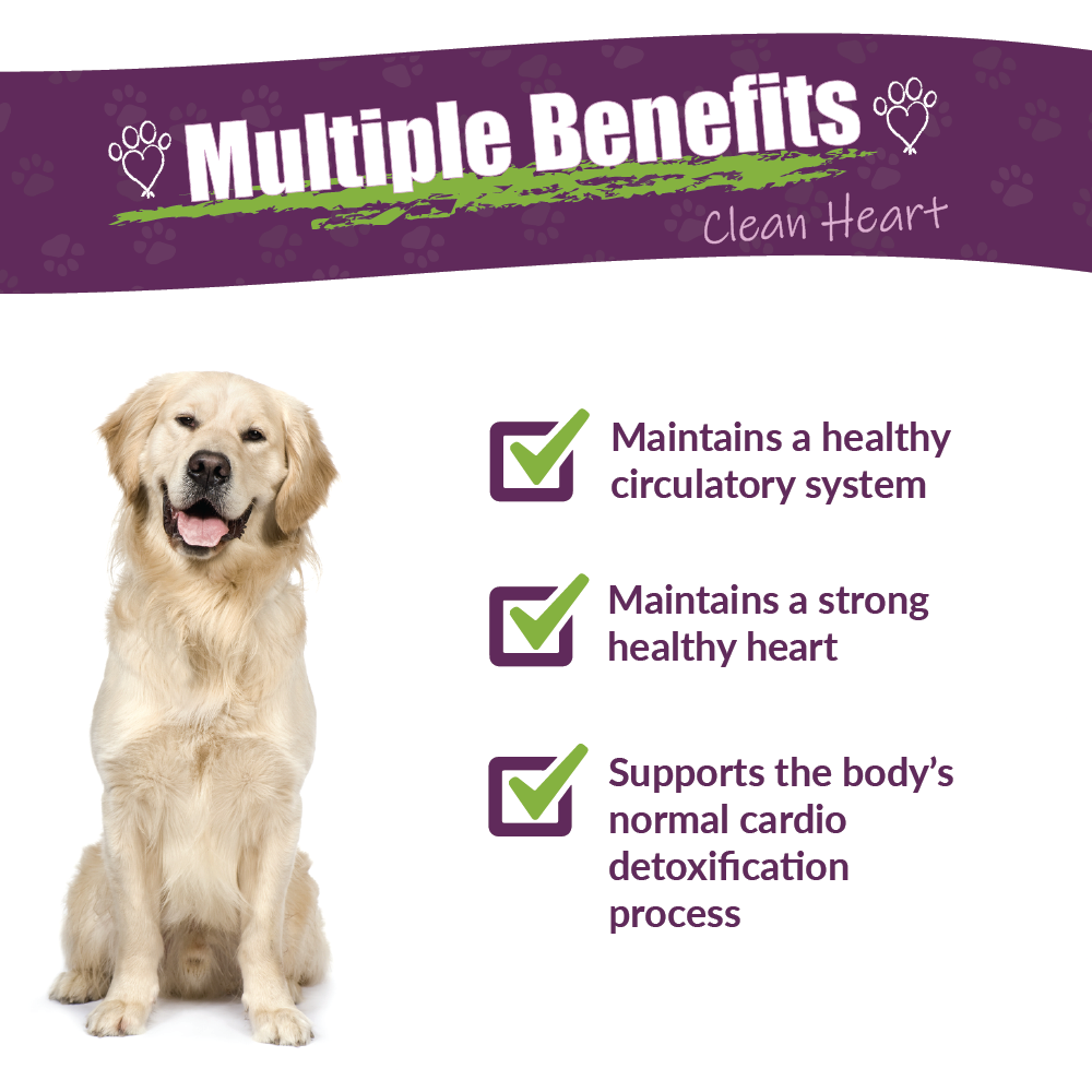 Amber Naturalz HWF - Organic "Clean Heart" Detox 4 Dogs - 4 oz