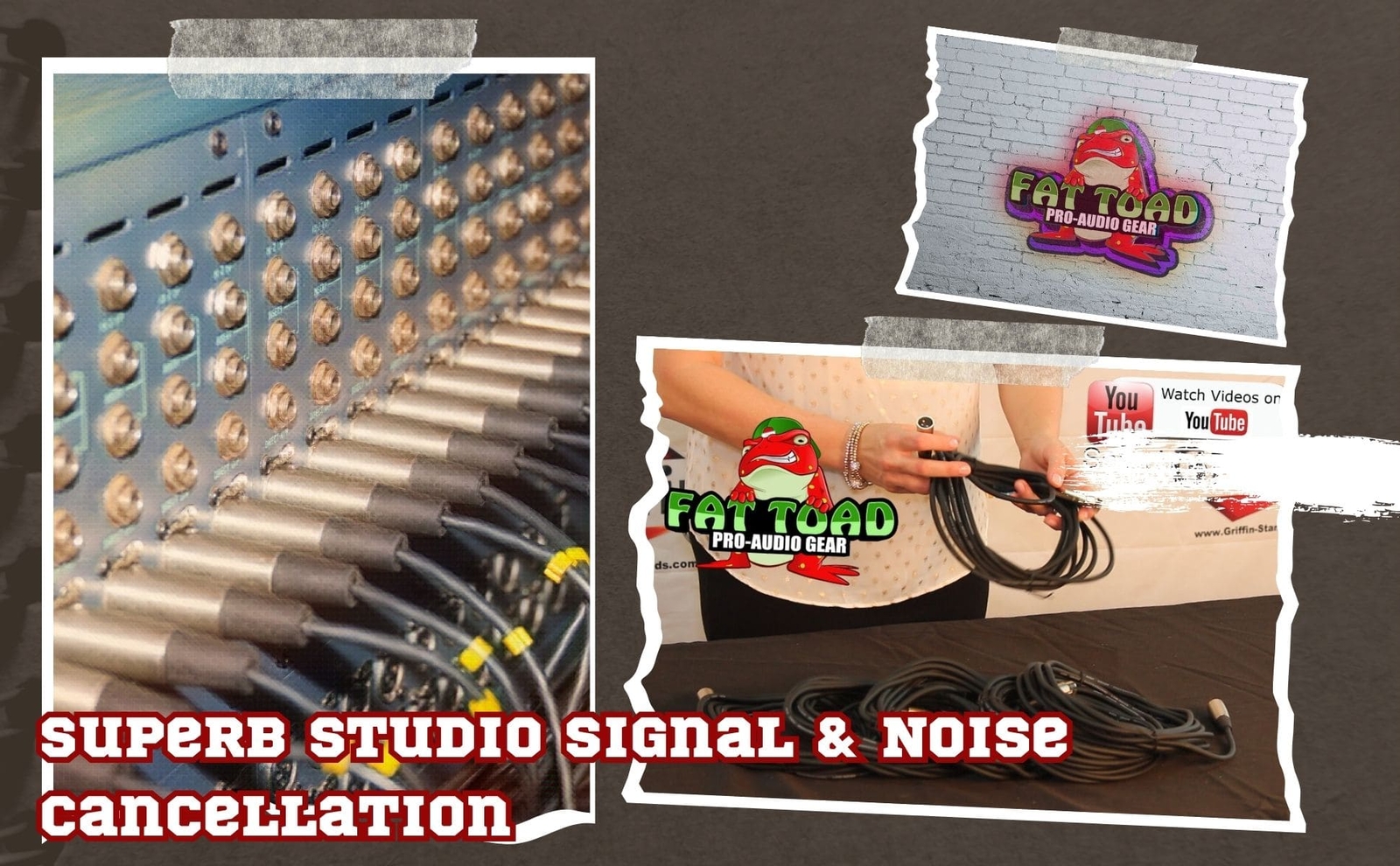 XLR Microphone Cables 6 PACK - 20Ft Wire Mic Cord Studio Patch Mixer Pro Audio