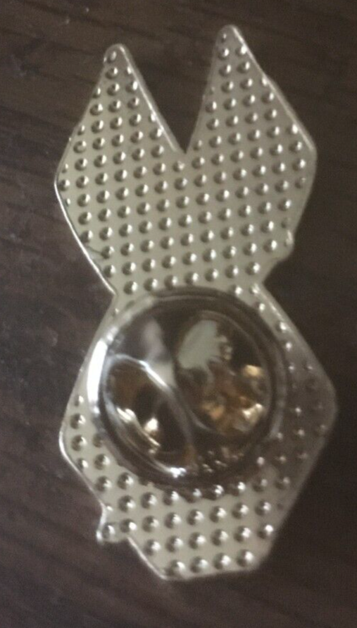 Russia russian flag BADGE pin #23sh