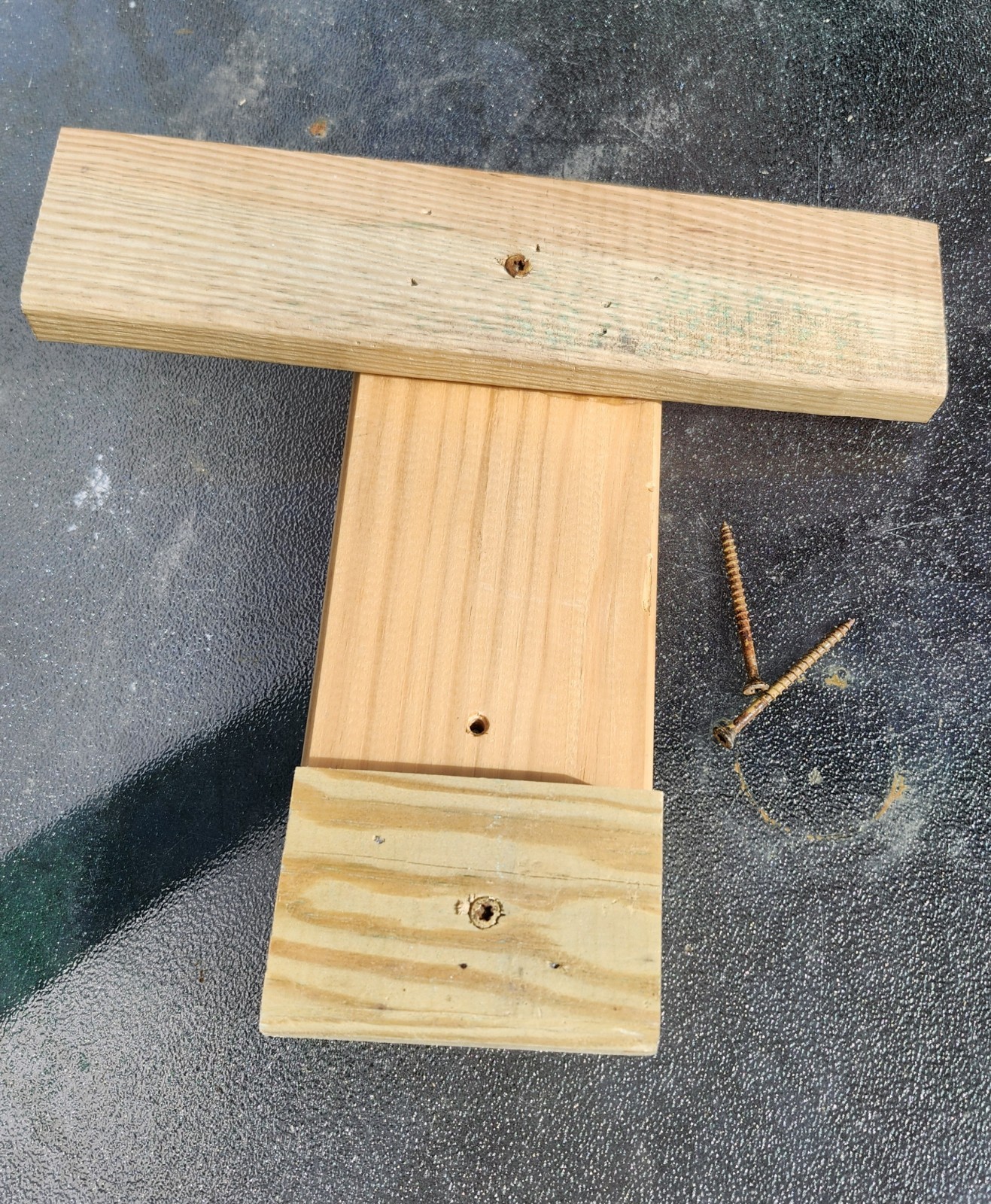 Honeybee Swarm Trap w/ Integrated Hanging Bracket = FREE BEES!!