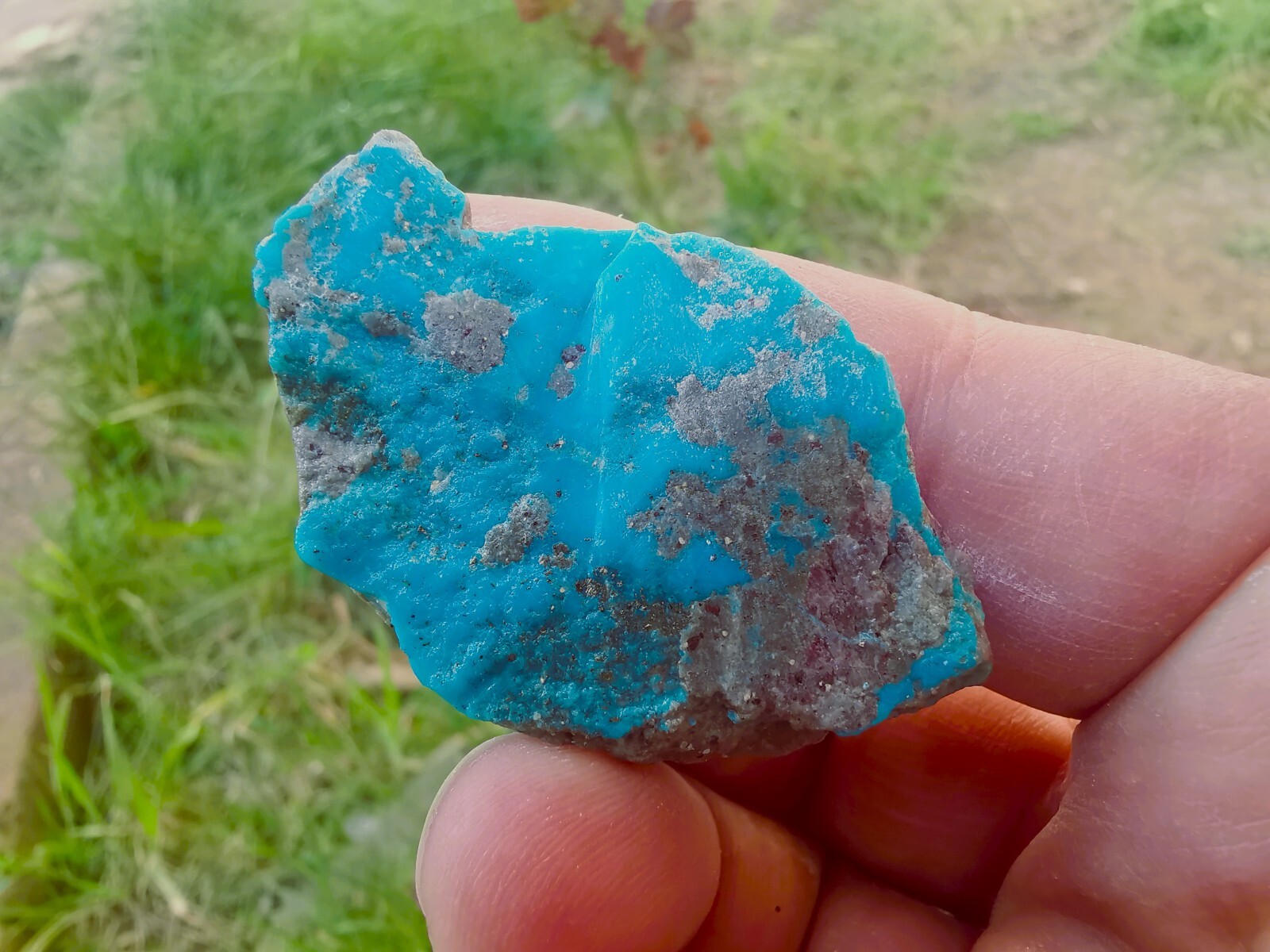 500 Carat Lots Natural Persian Turquoise & Pyrite Rough stone , No Treatments