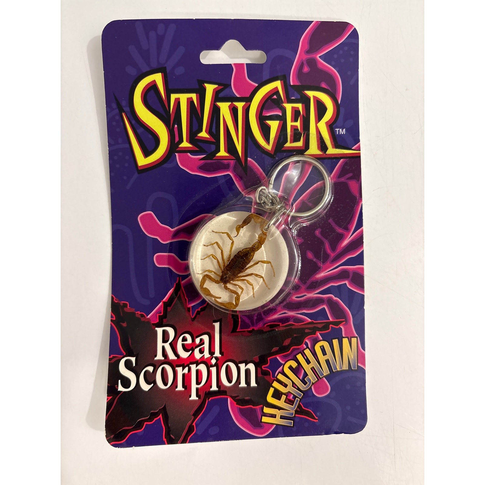 Stinger Real Scorpion keychain glows in the dark retro kidcore