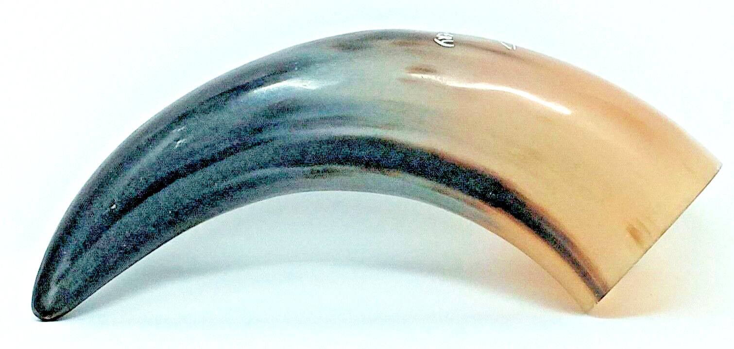 Drinking Horn Meadery Natural Cow / Steer horn euc black and blonde color