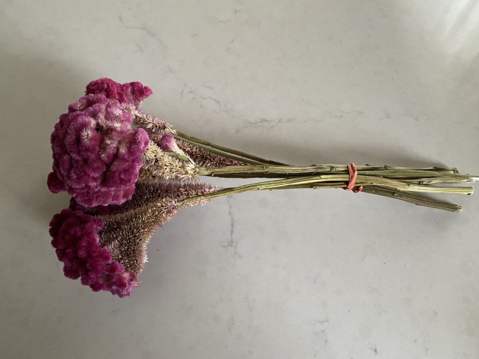 COCKSCOMB Celosia DRIED FLOWERS Bunch BOUQUET Bundle Wedding Assorted PINK HUES