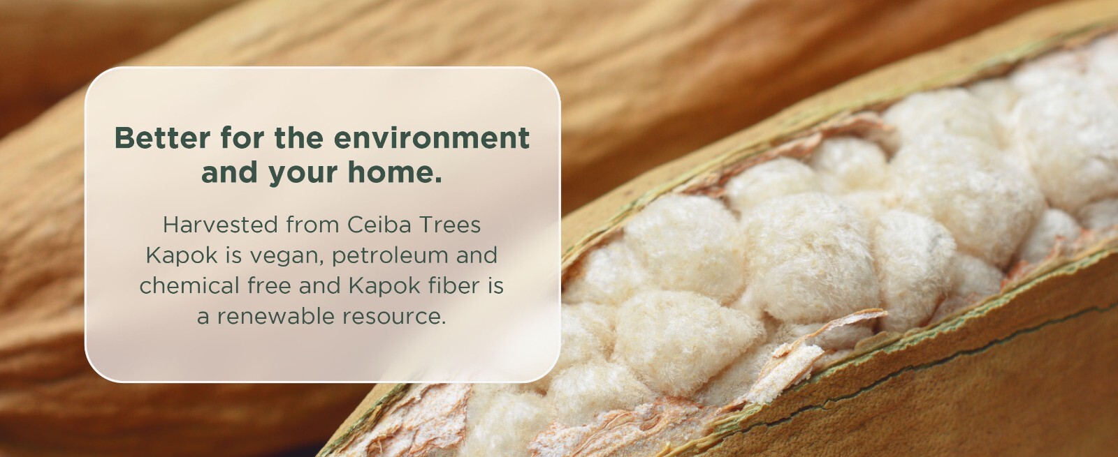 Premium Kapok -Organic Fiber Fill - Perfect for Pillows, Pet Beds and Crafts