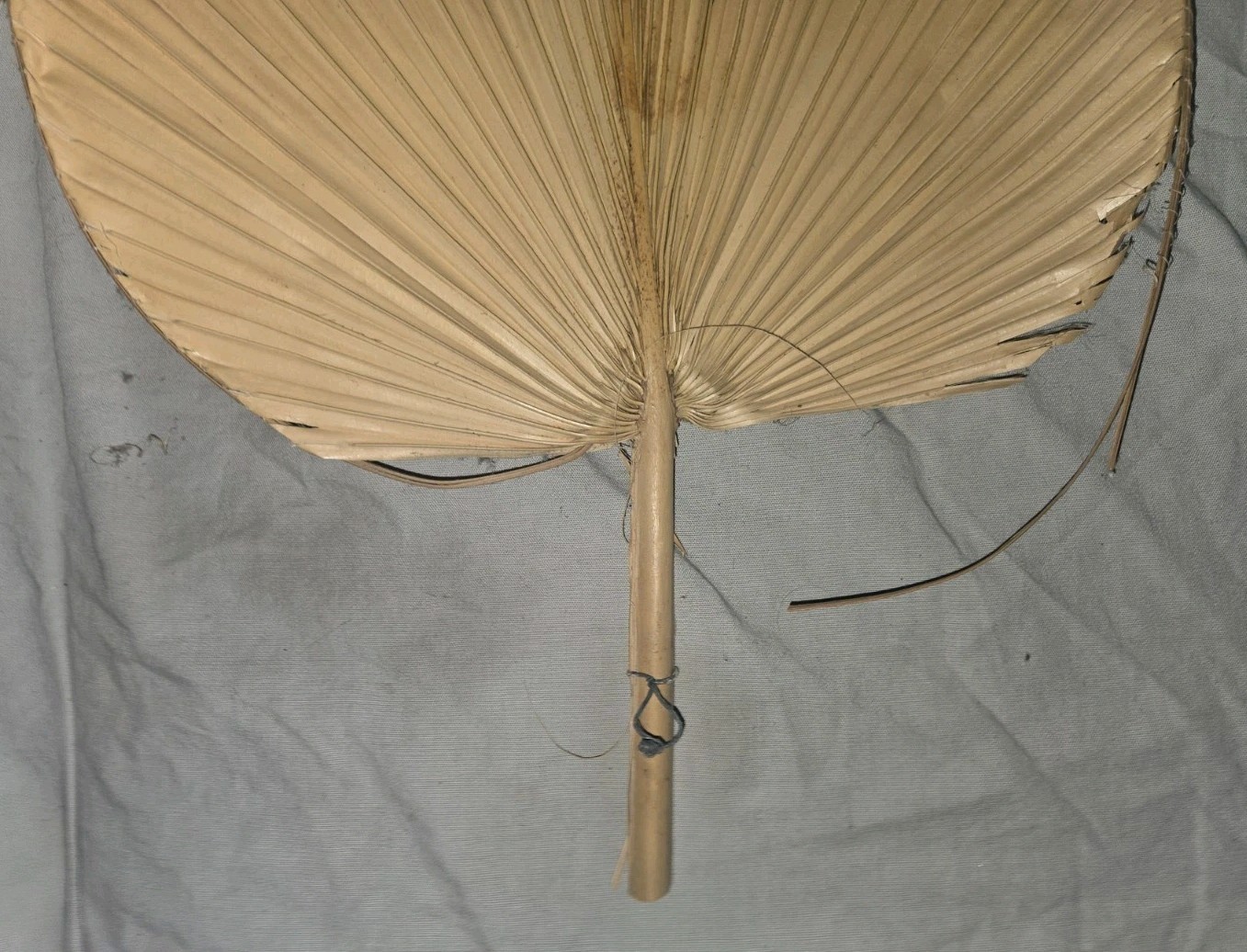 Appleton Barber Supply Company Advertising Fan Appleton Wisconsin. 324 W Wash St