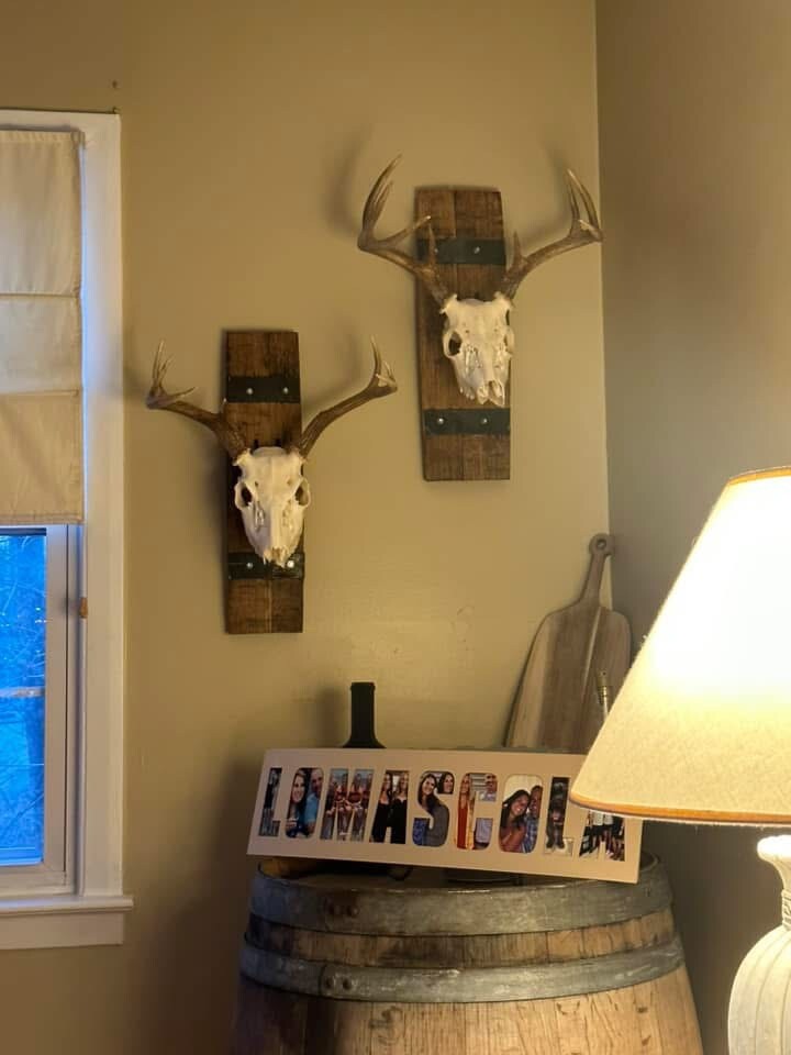 Rustic Barrel European Deer Skull Mounting Plaques