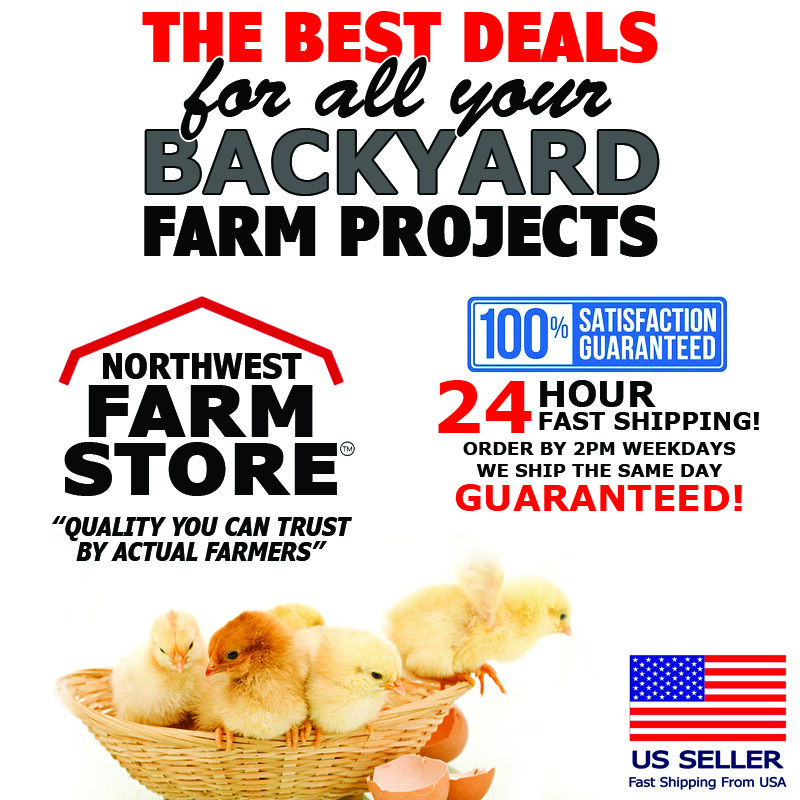 1 QT Poultry Chicken Chick Plastic Feeder Set / Water Set / Replacement