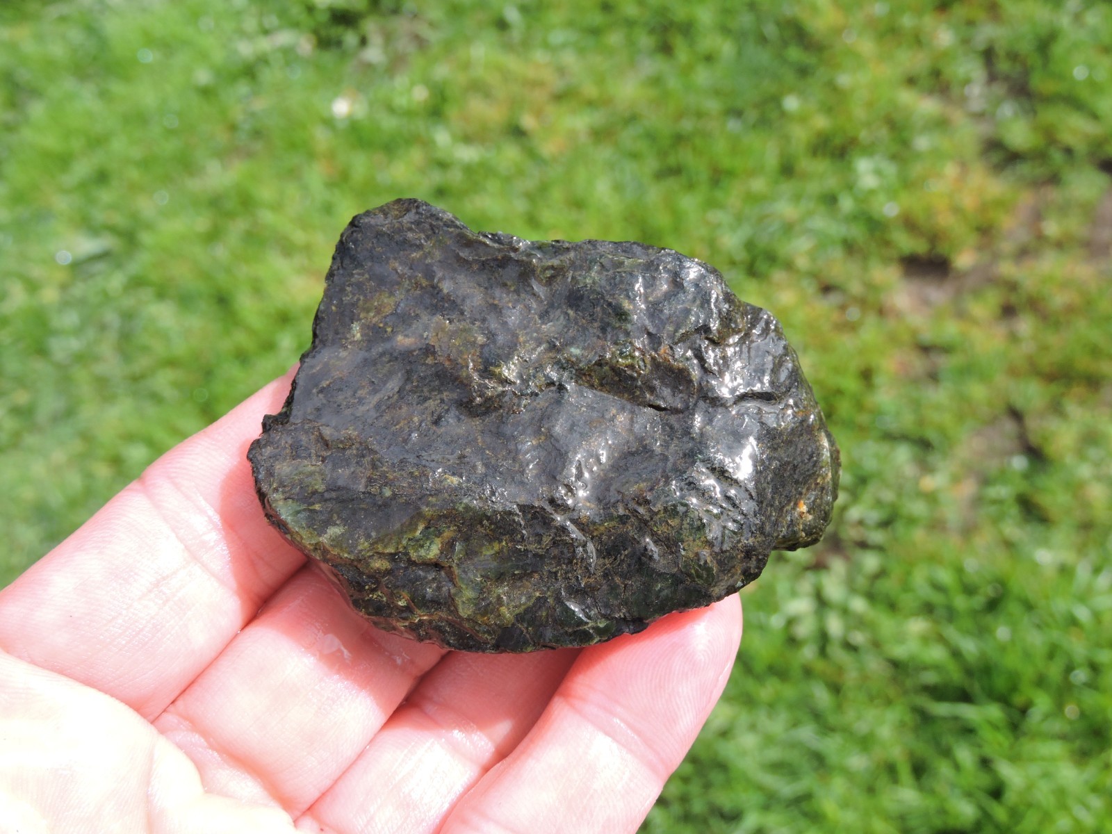 OREGON DARK GREEN SERPENTINE Rough Stones. *MAGNETIC* 100% Natural (8 lb)