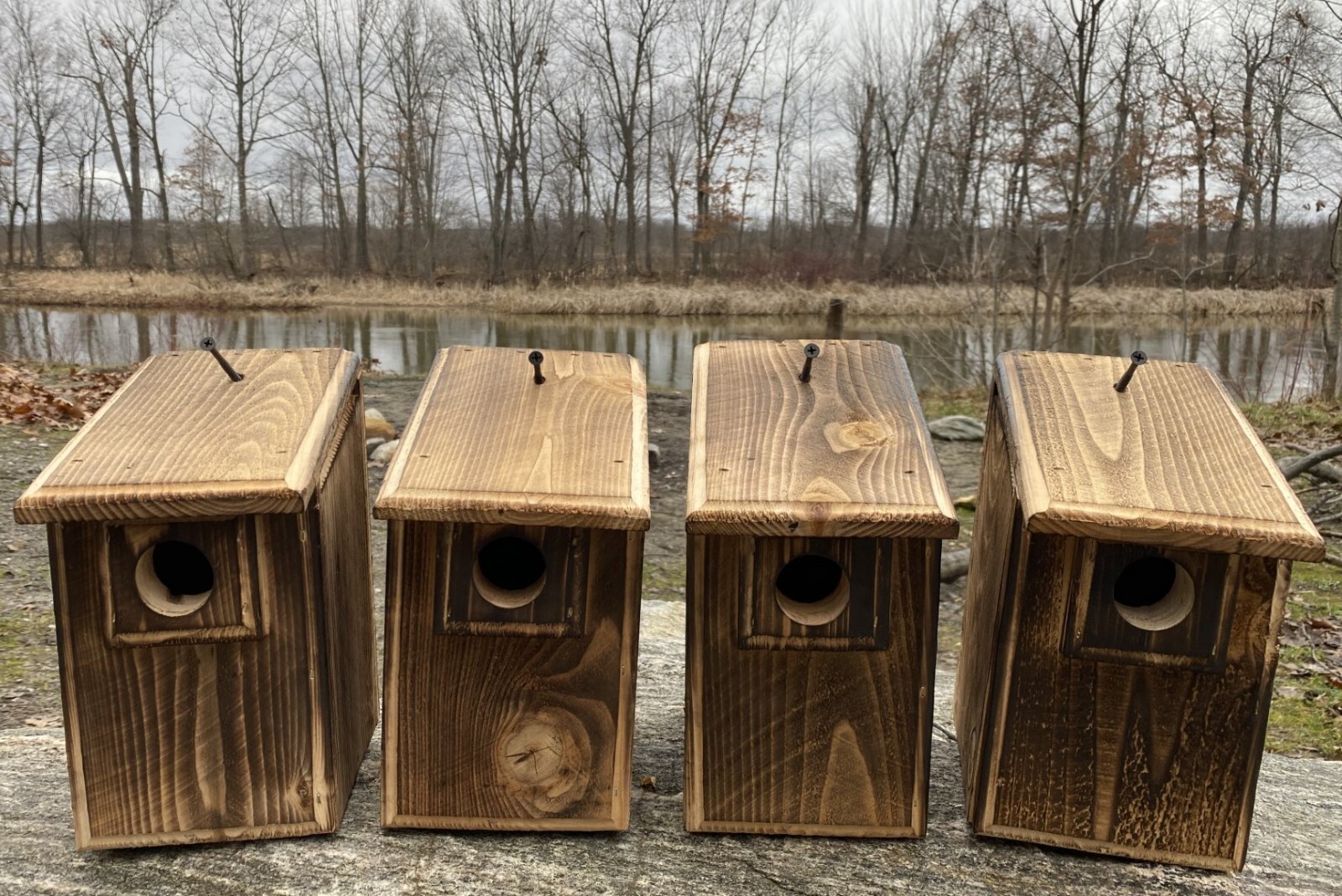 4 Cedar Bird Houses, 2 Wren & 2 Chickadee, or Mix & Match, Natural or Scorched