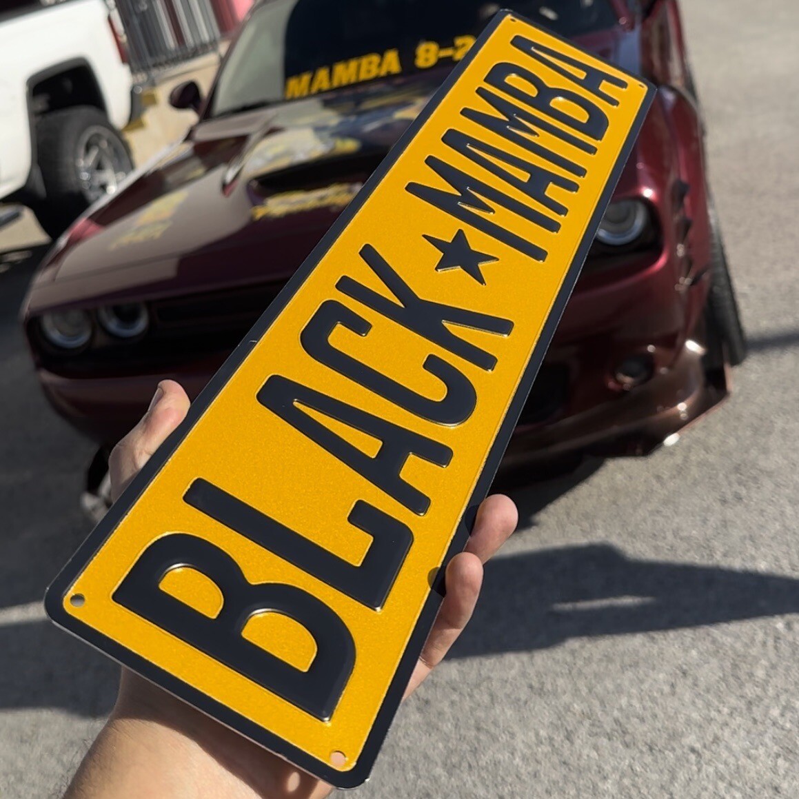 Personalized License Plates EMBOSSED