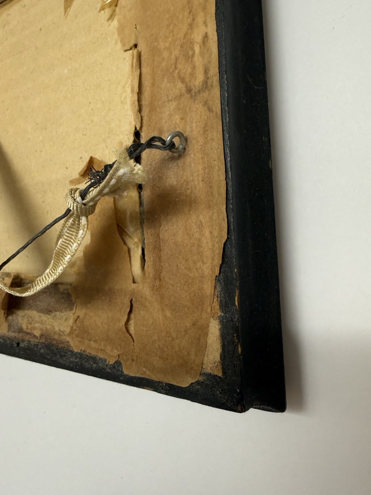 Vintage Dried Pressed Flowers Art Black Ornate Wall Hanging Frame