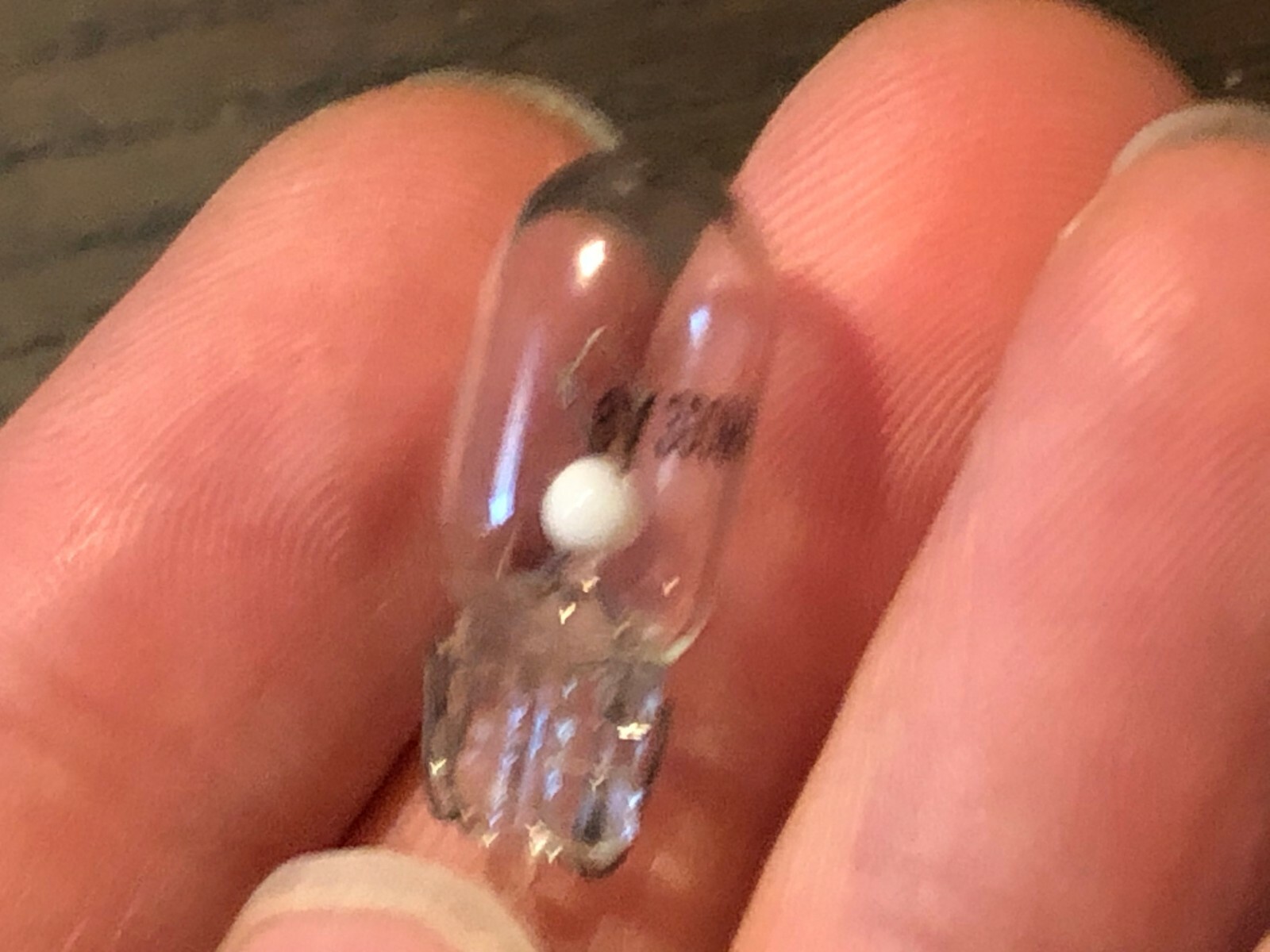 10 New Warm White 8V 300ma Incandescent Wedge Lamp Light Bulbs .3A 0.3A