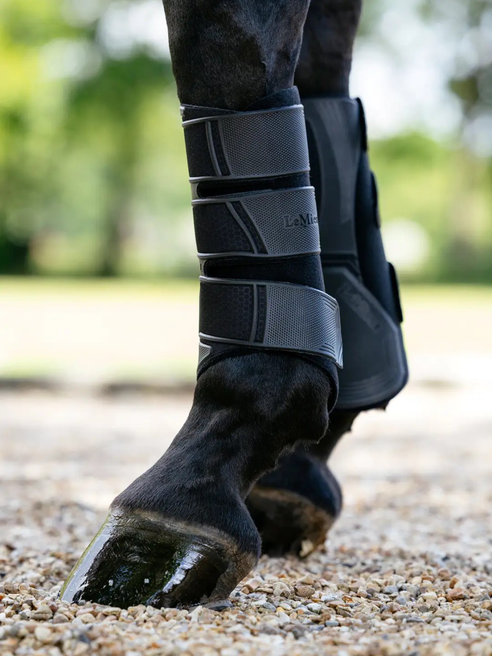 LeMieux Technical Brushing Boots - Black