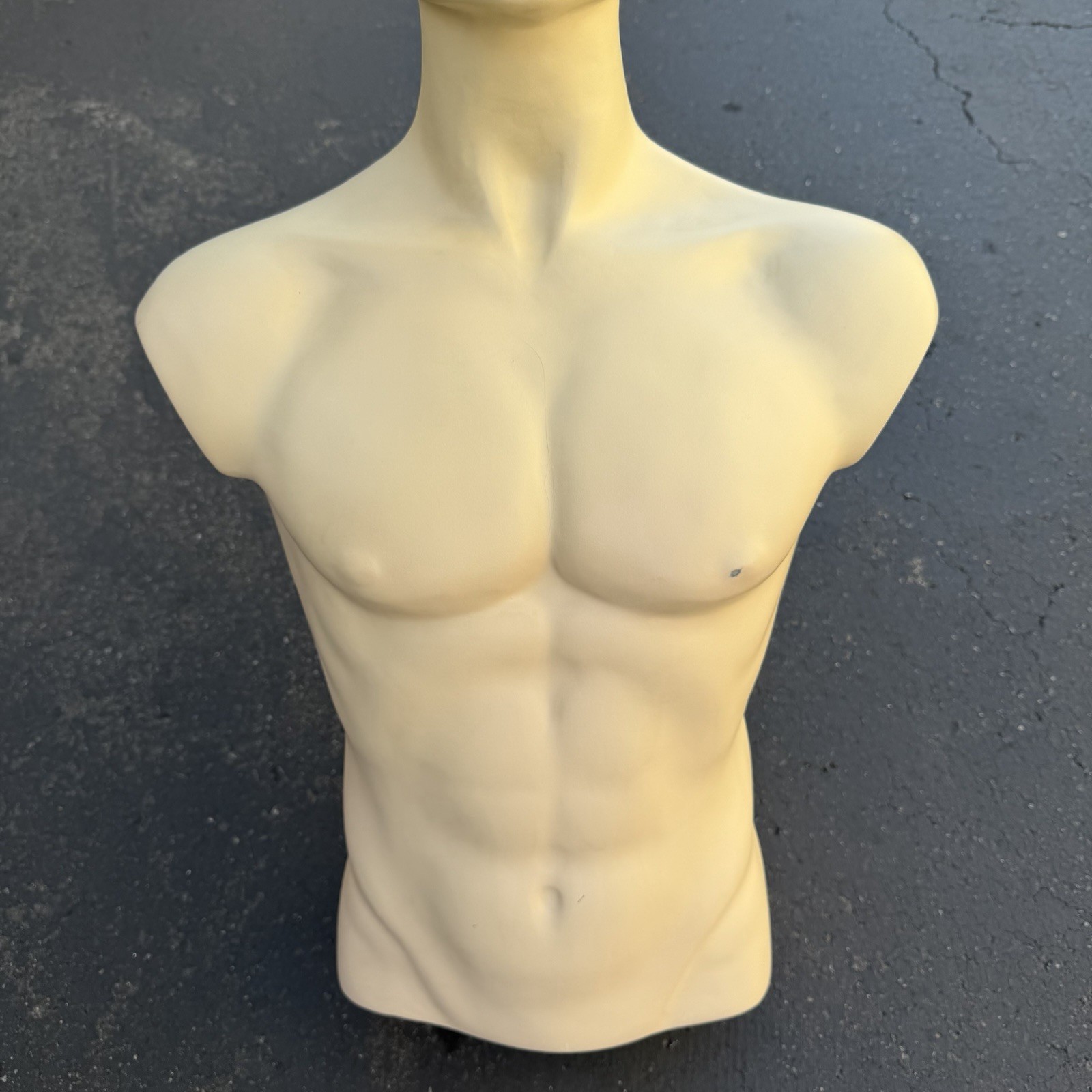 Lady Lulu Vintage Mannequin Torso Head Male Man Muscle Silver Spike Hair