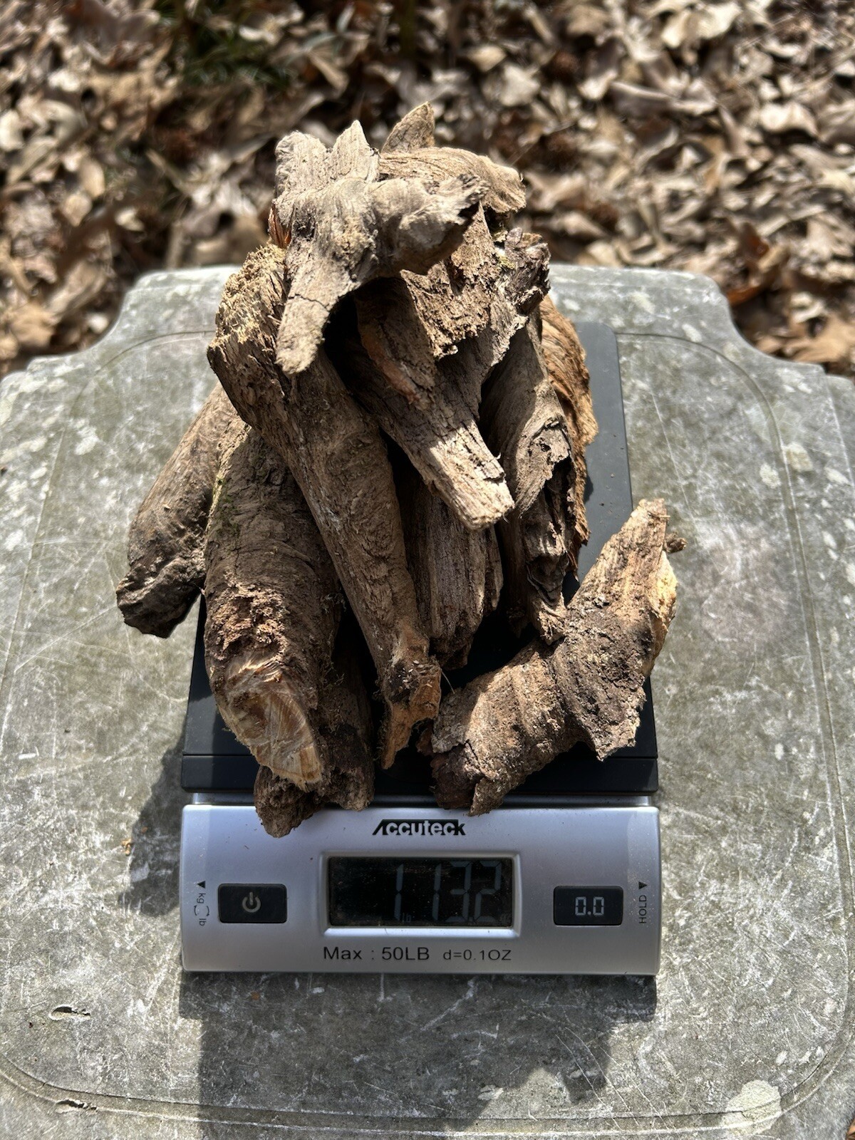 10 FIRE BOOSTERS! These are Fatwood Lighter Knots. 1.13 lbs Total Weight.